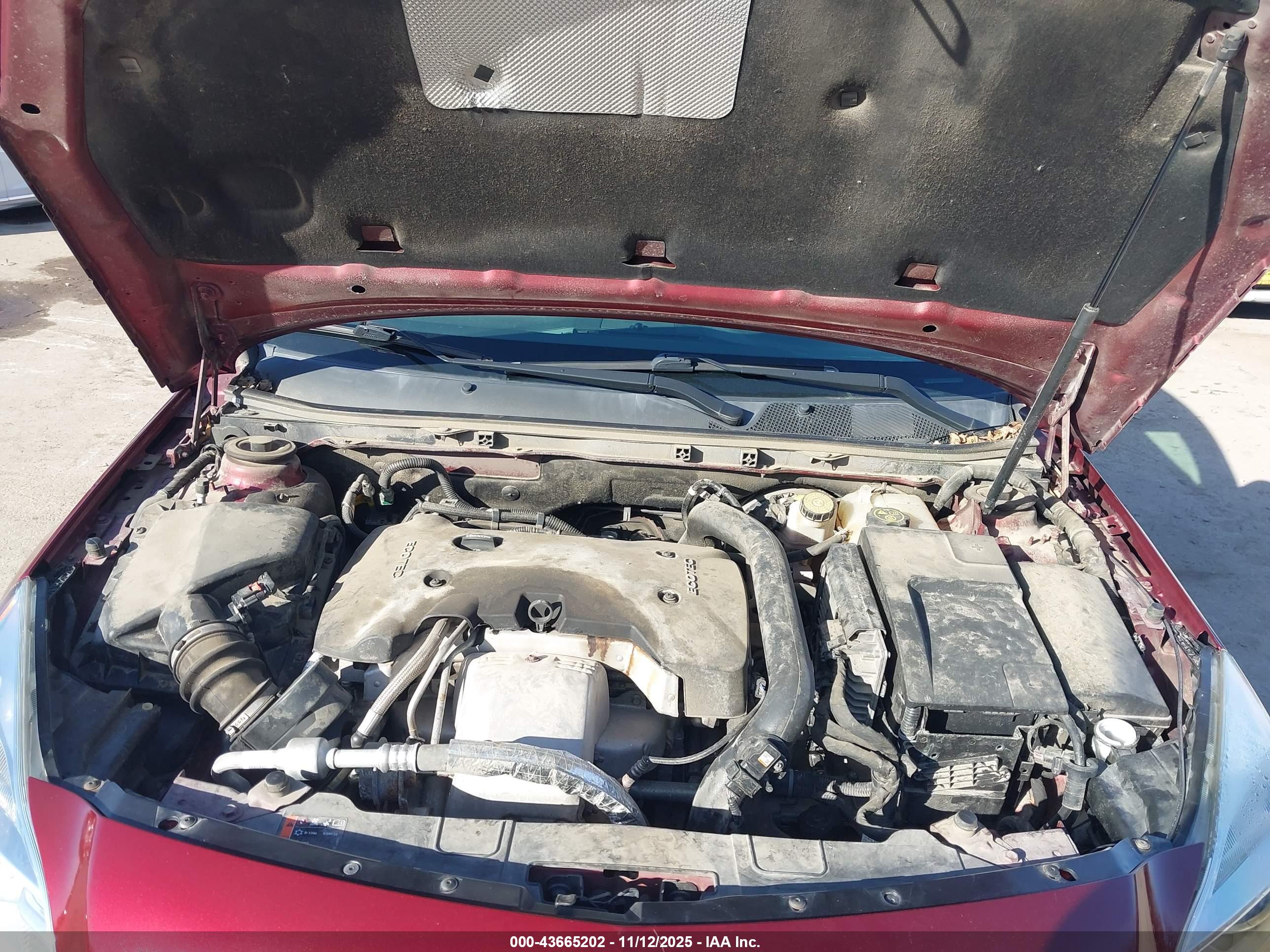 BUICK REGAL image 10