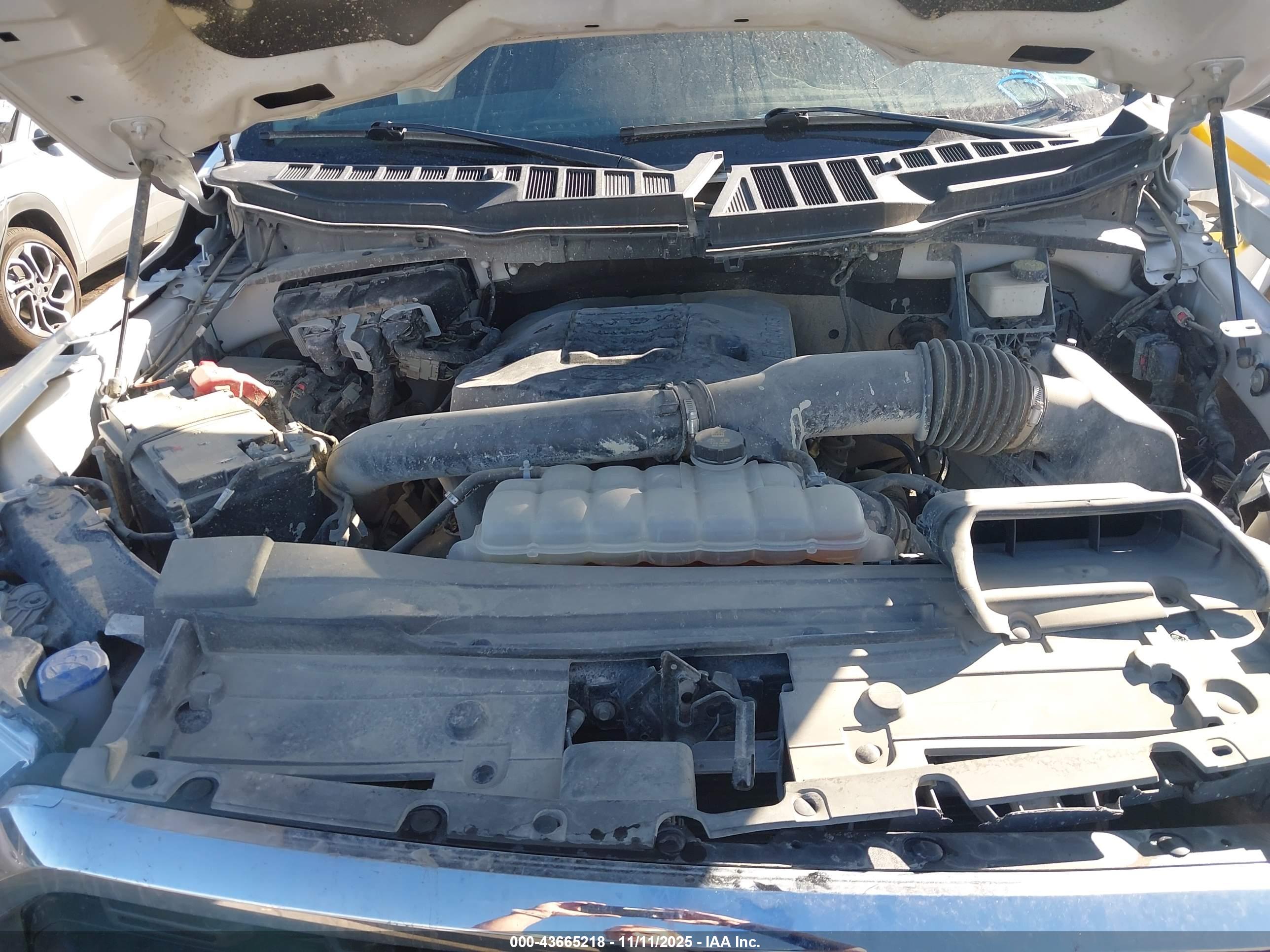 FORD F-150 image 10