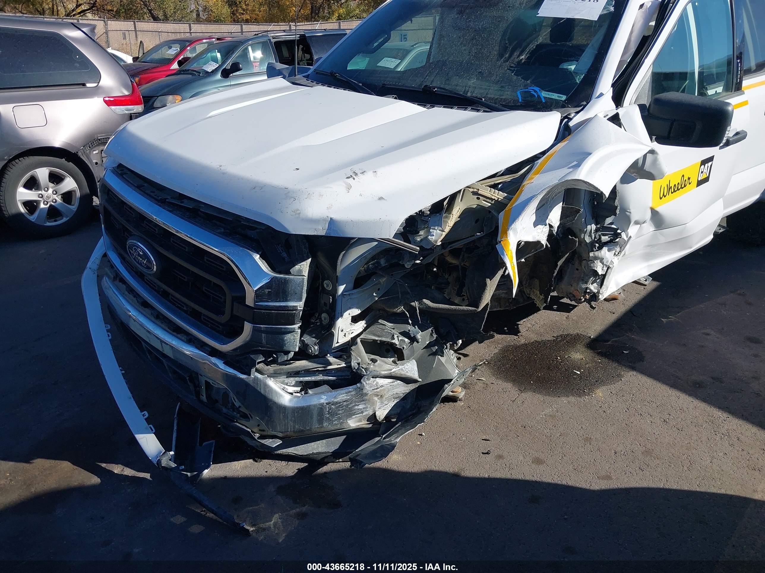 FORD F-150 image 6