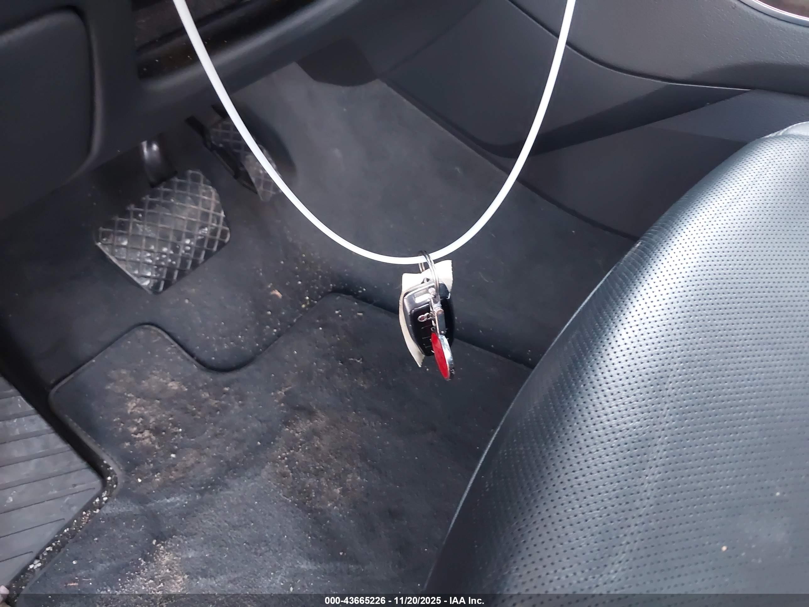 AUDI Q8 image 11