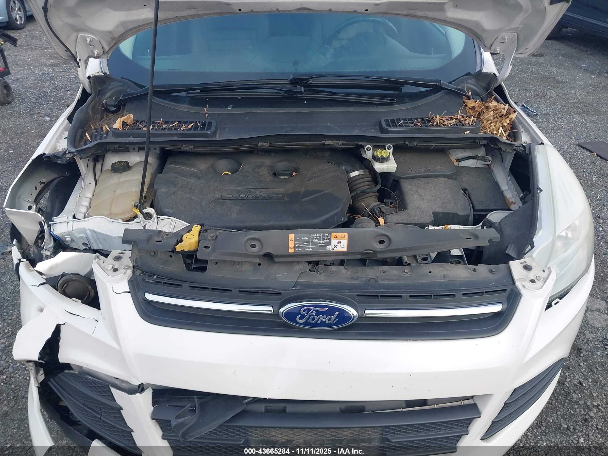 FORD ESCAPE image 10