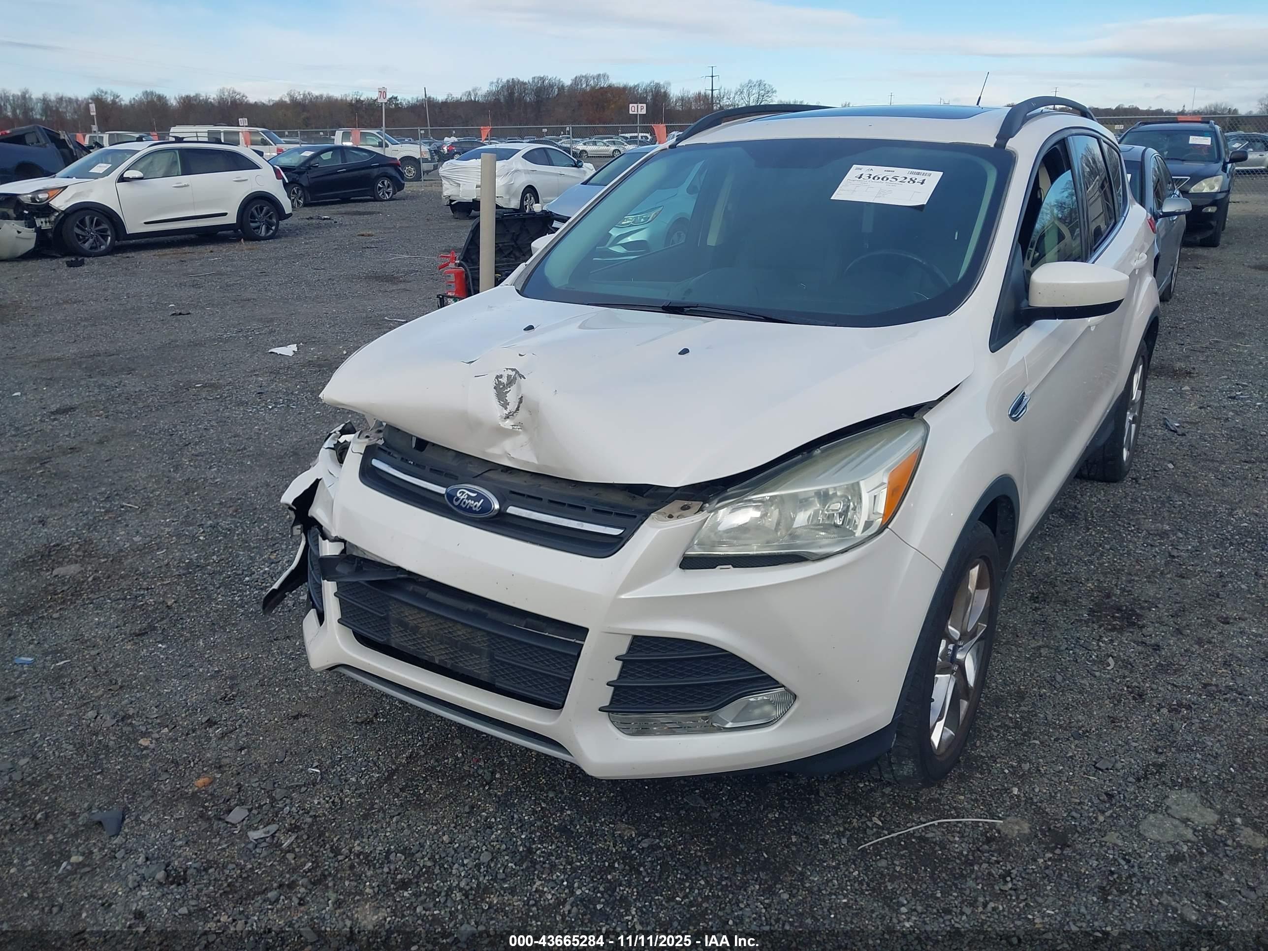 FORD ESCAPE image 2