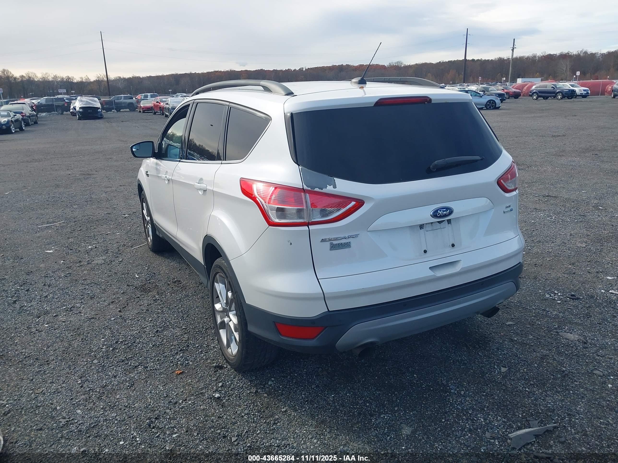 FORD ESCAPE image 3