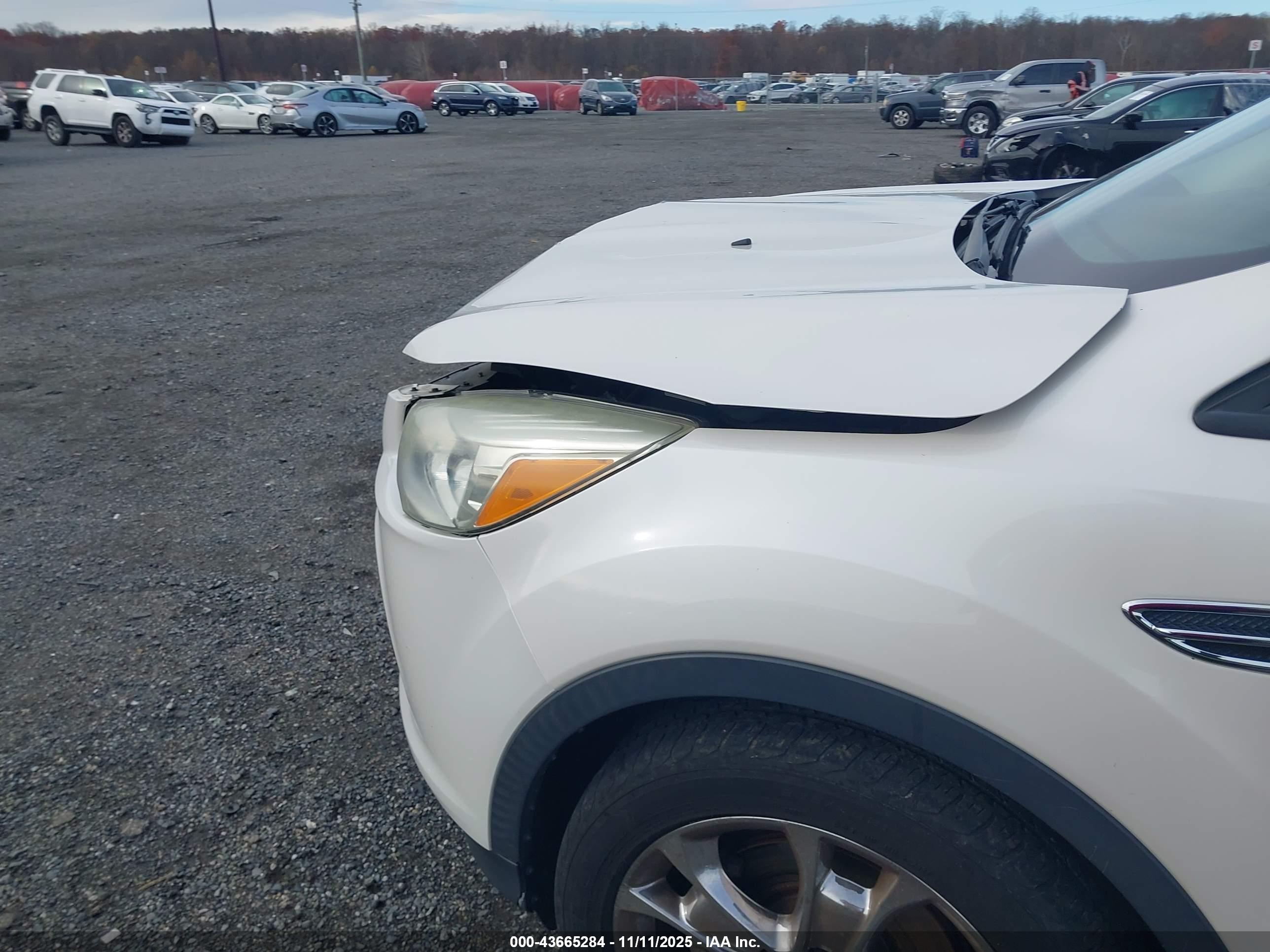 FORD ESCAPE image 6