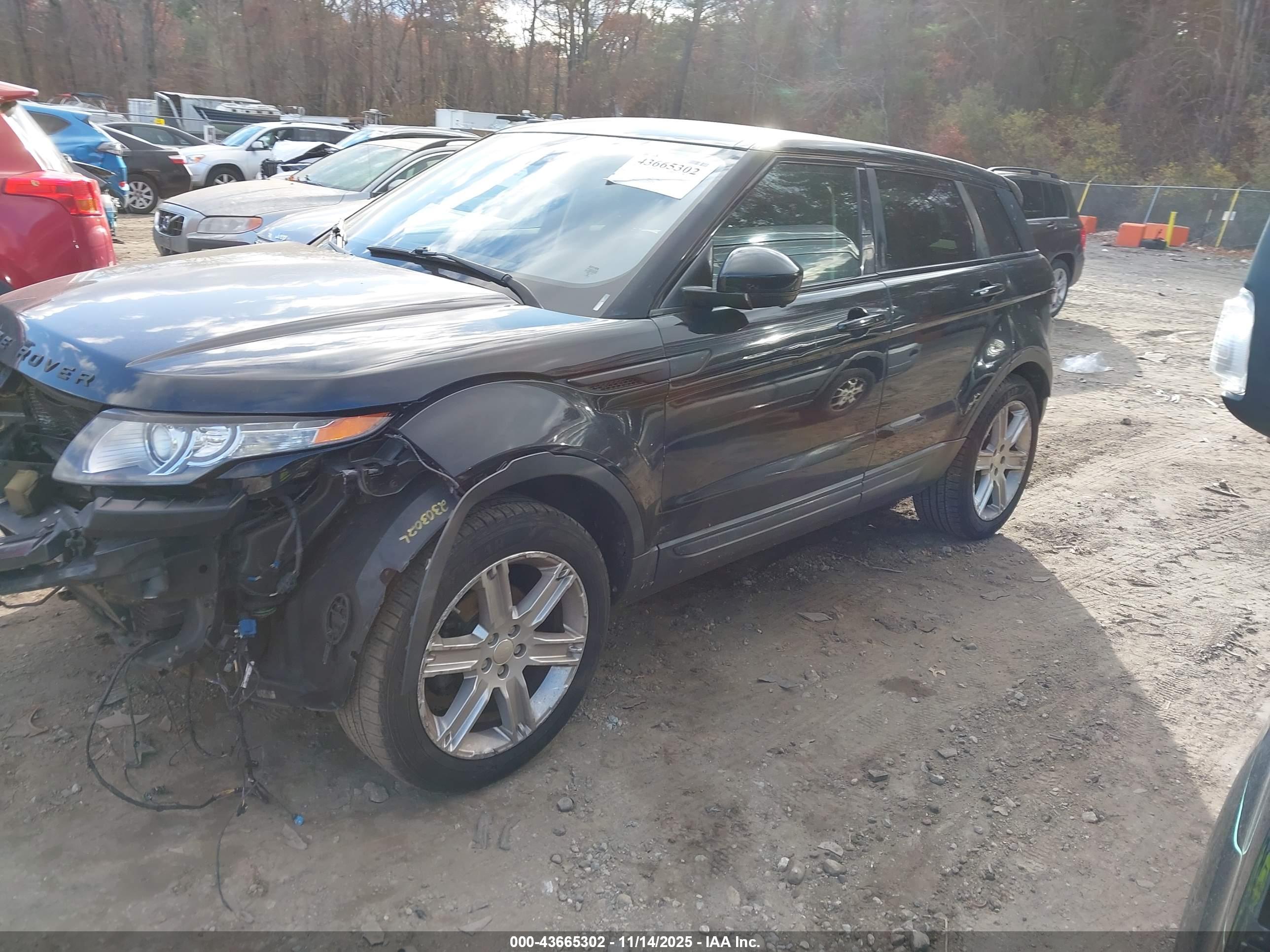 LAND ROVER image 2