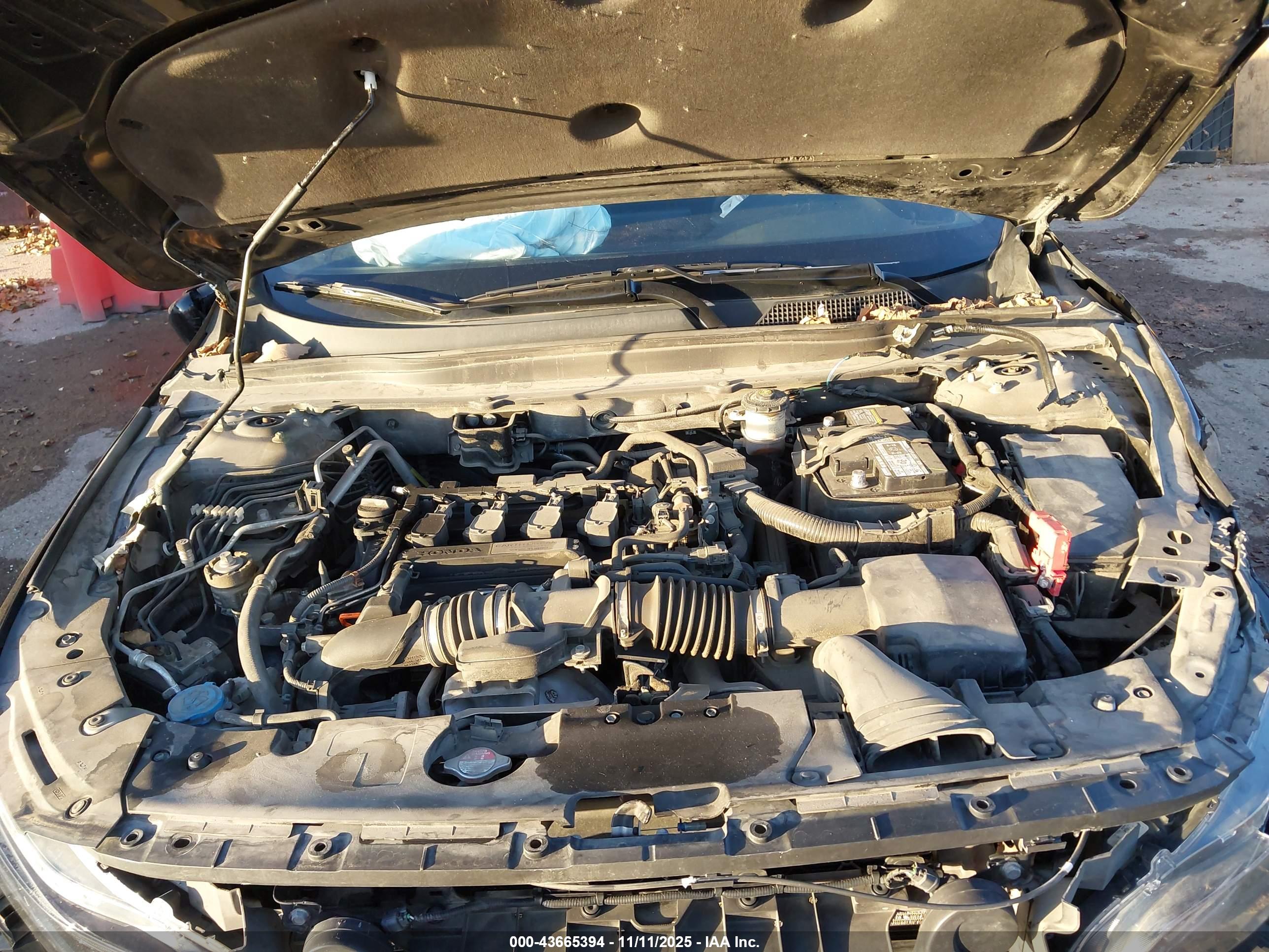 HONDA ACCORD image 10
