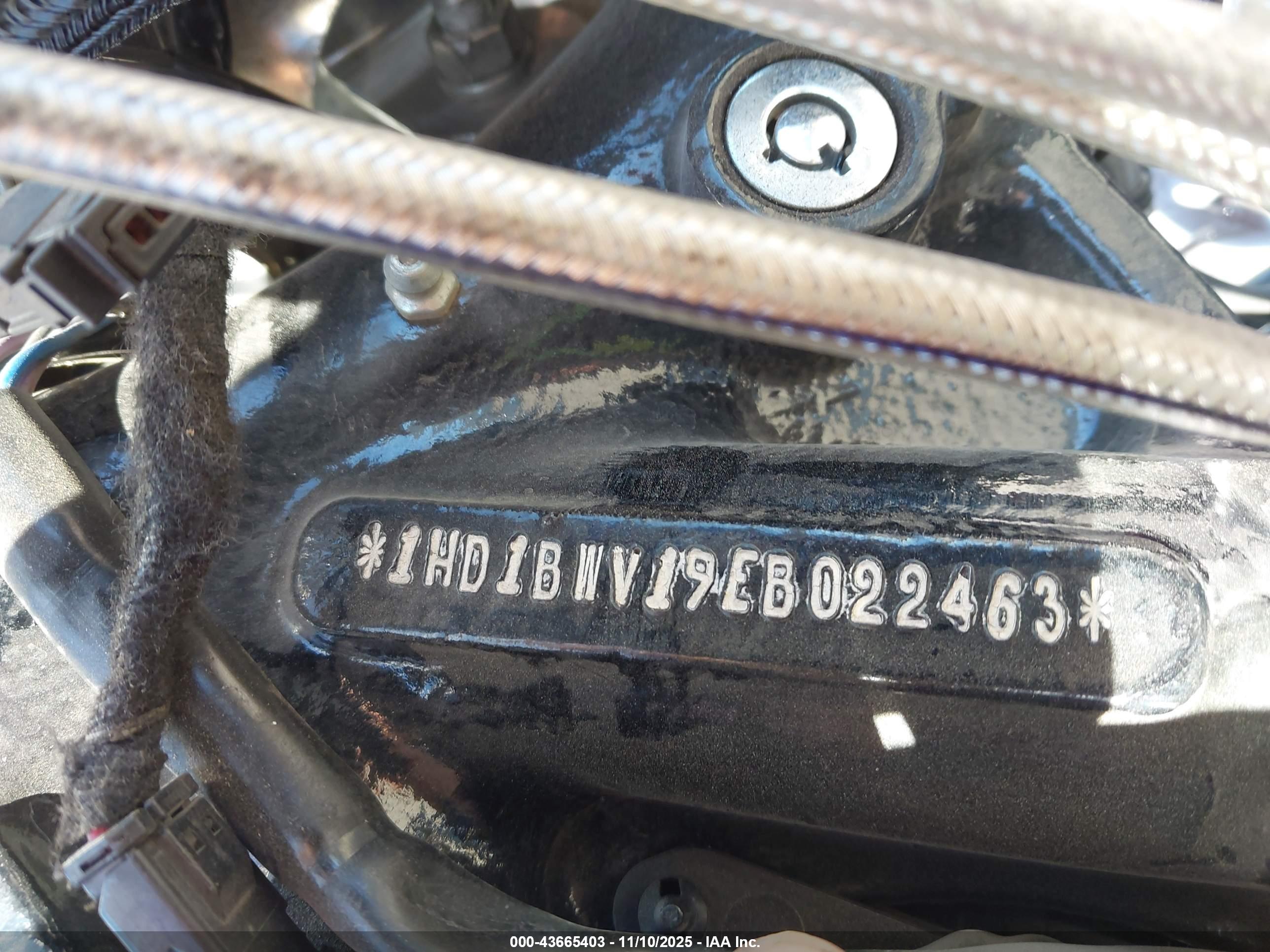 HARLEY-DAVIDSON FLSTC image 10