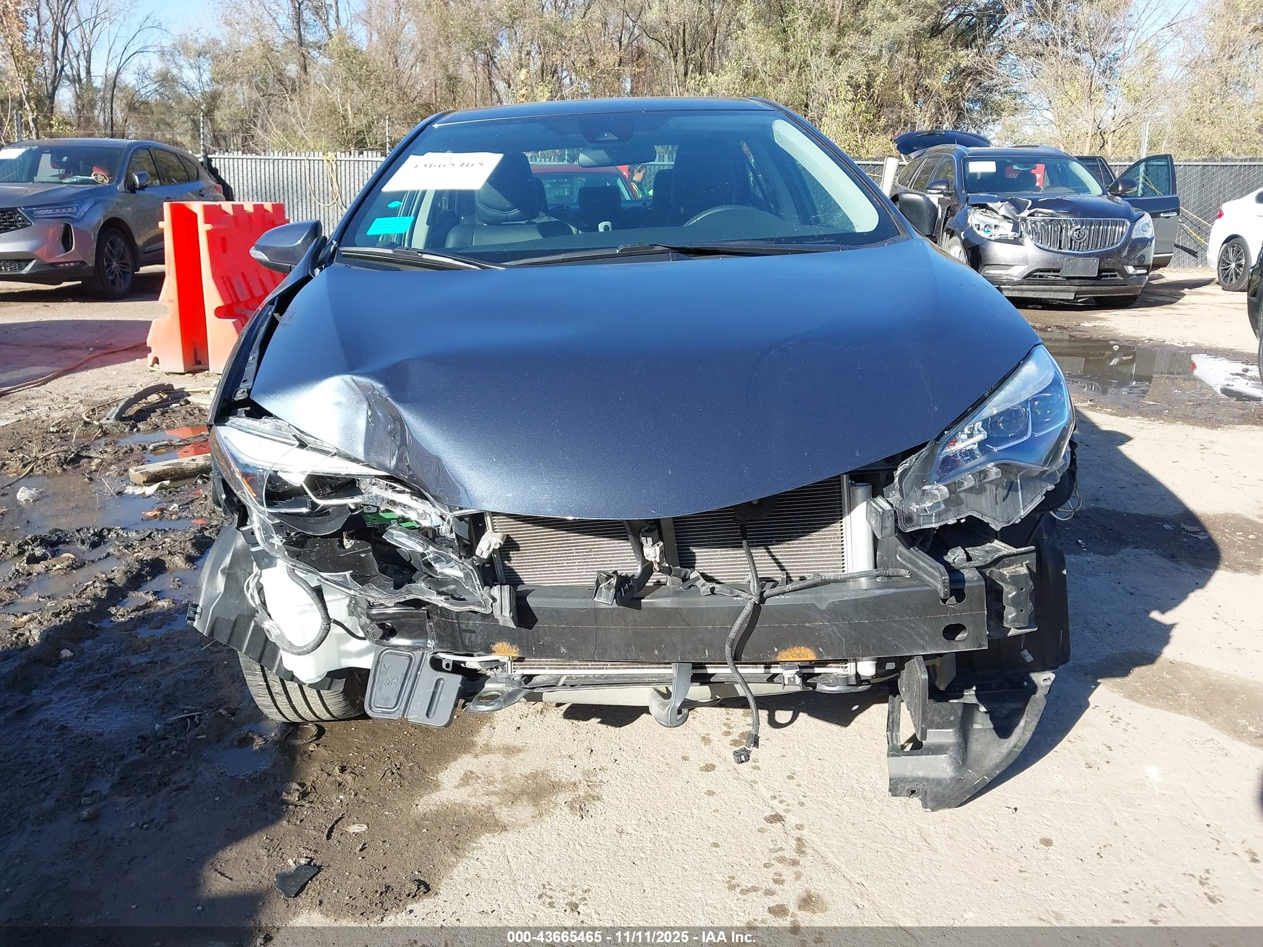 TOYOTA COROLLA image 6