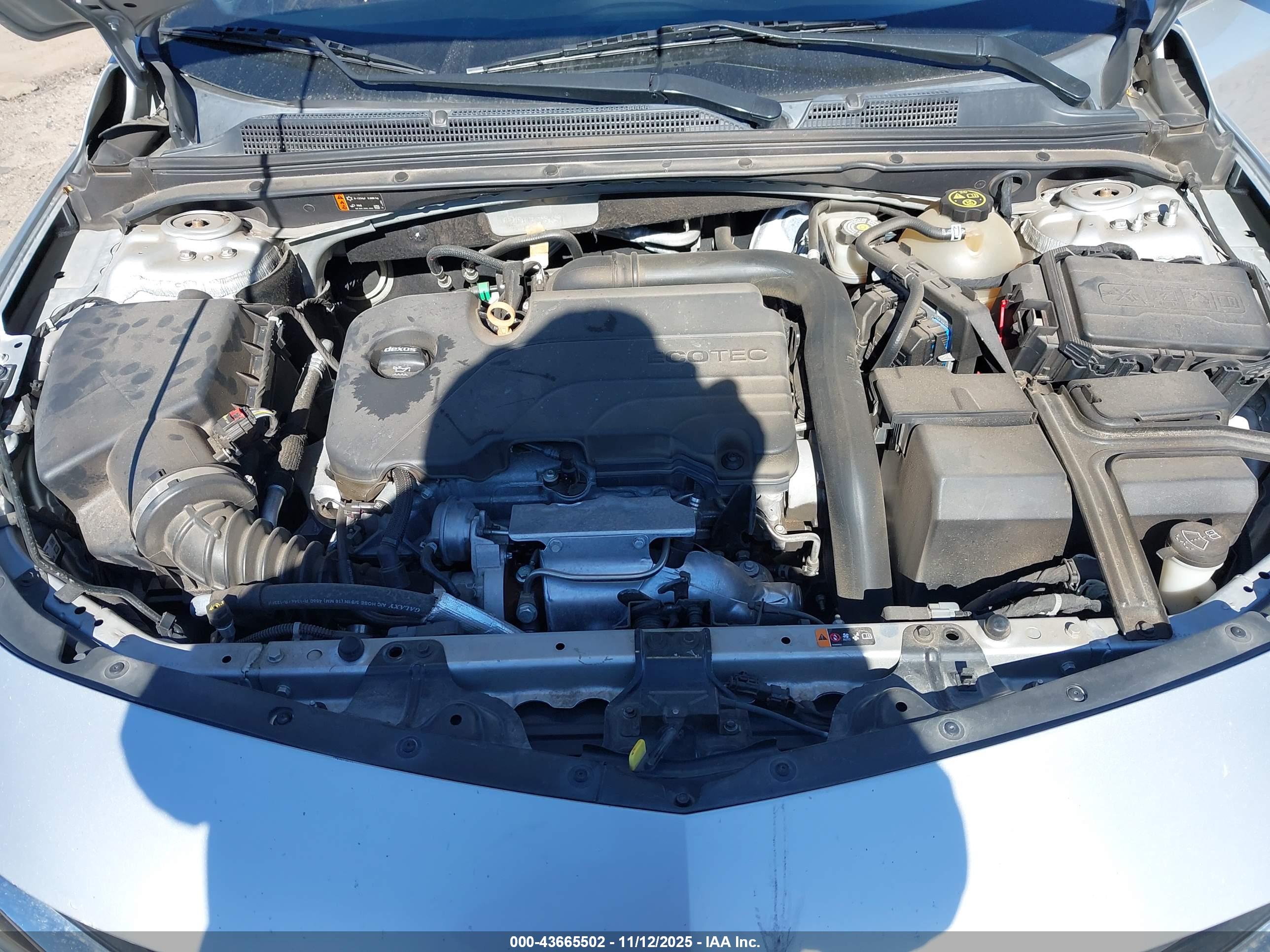 CHEVROLET MALIBU image 10