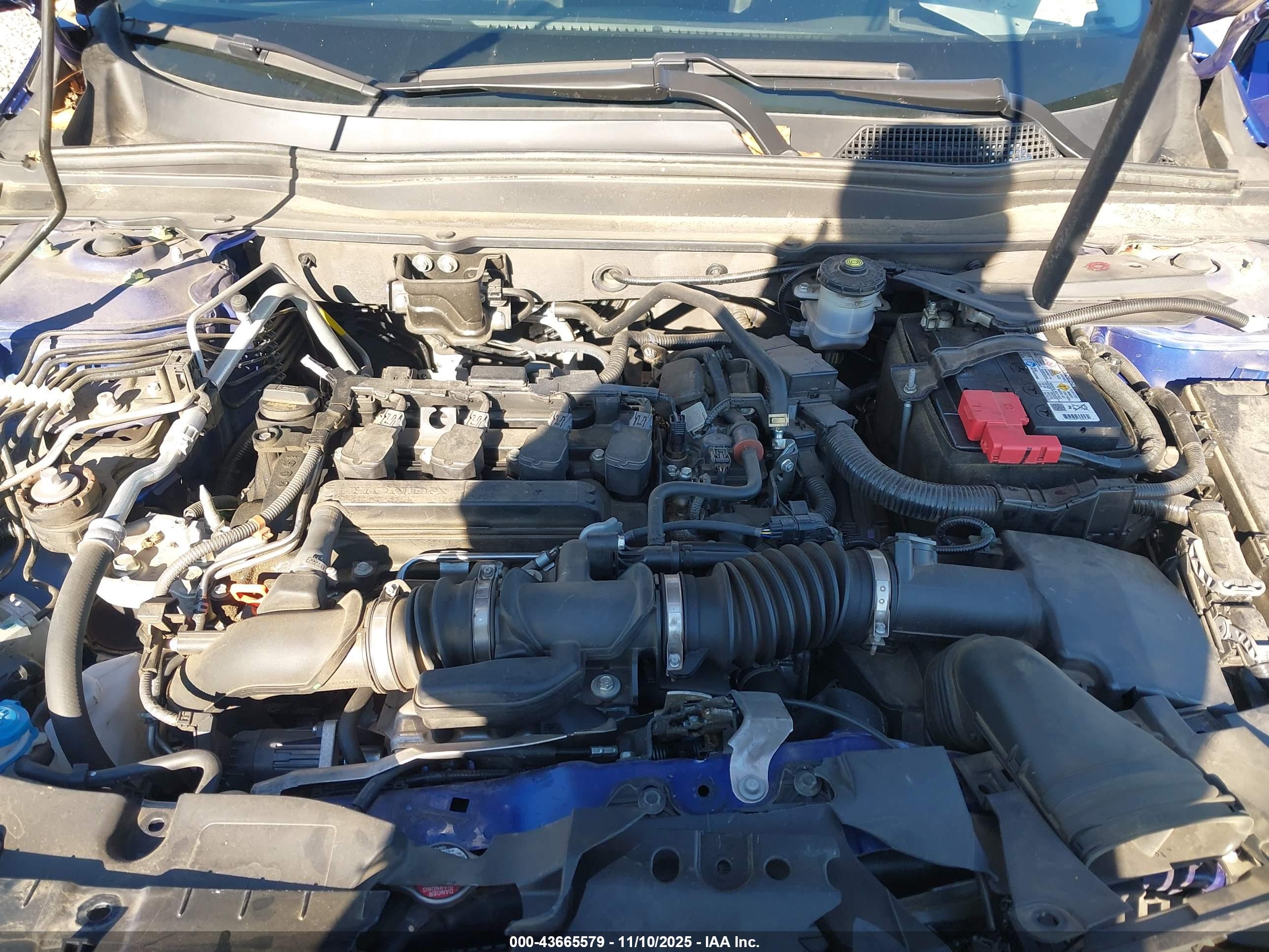 HONDA ACCORD image 10