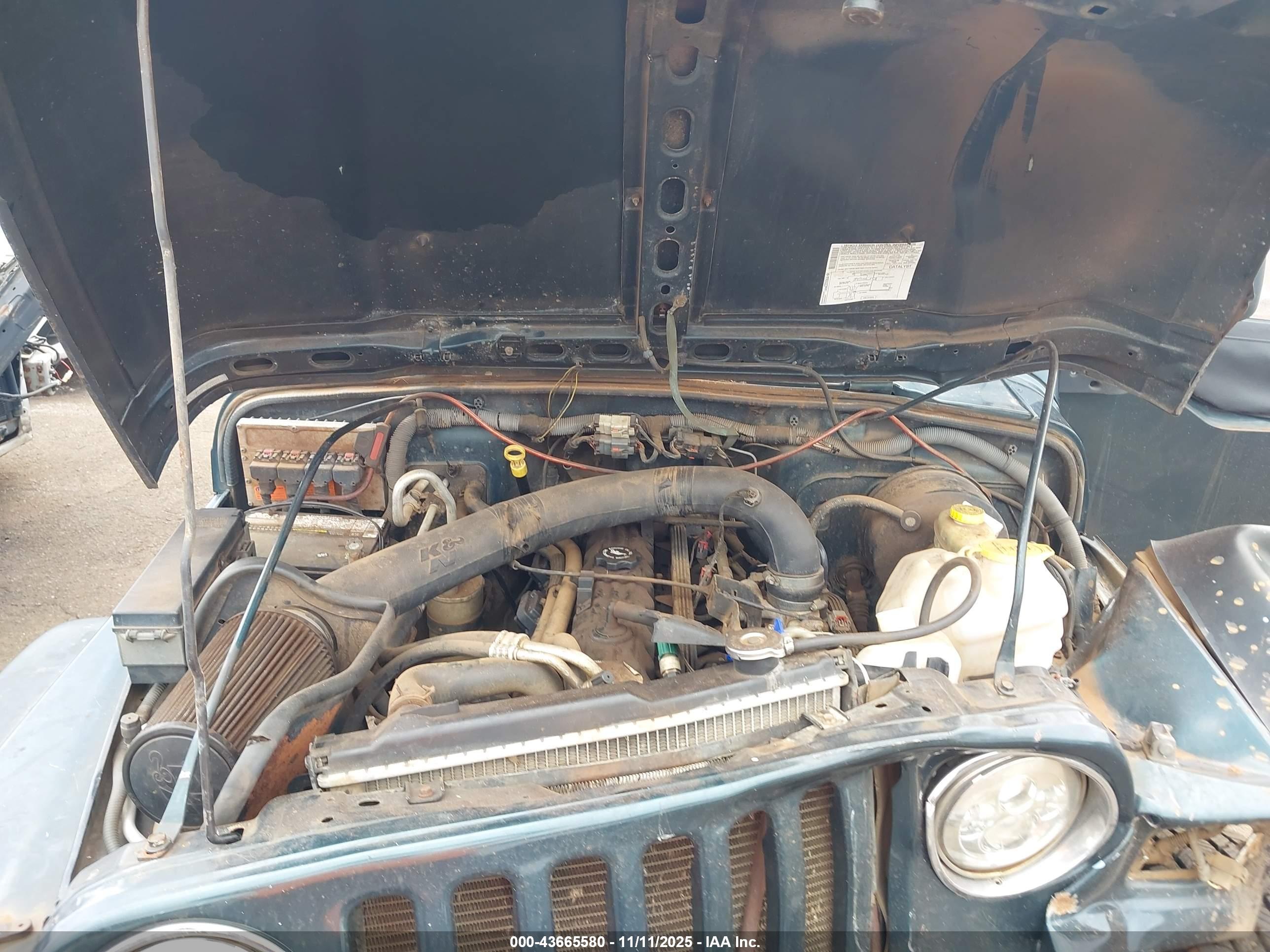 JEEP WRANGLER image 10