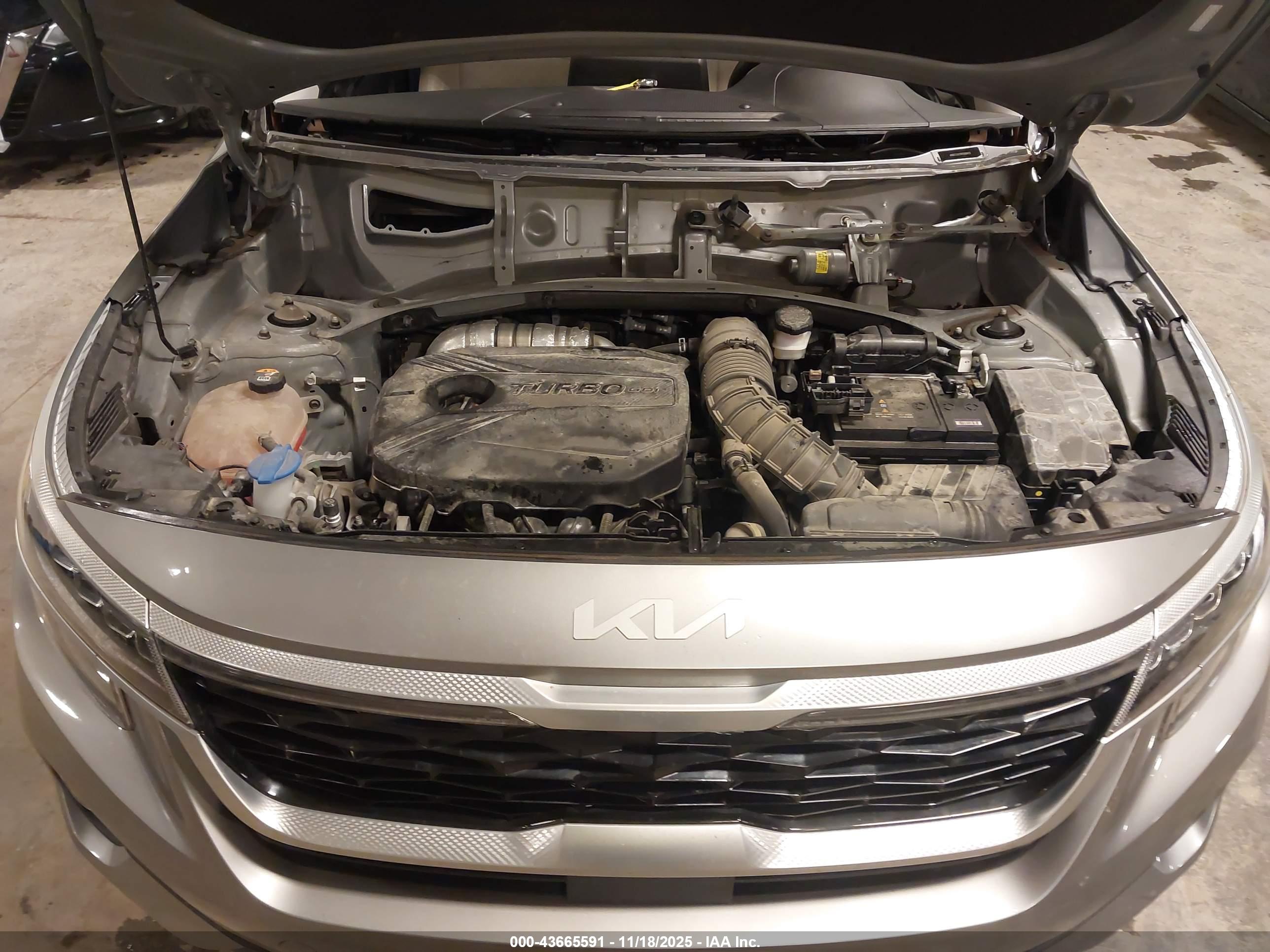 KIA SELTOS image 10
