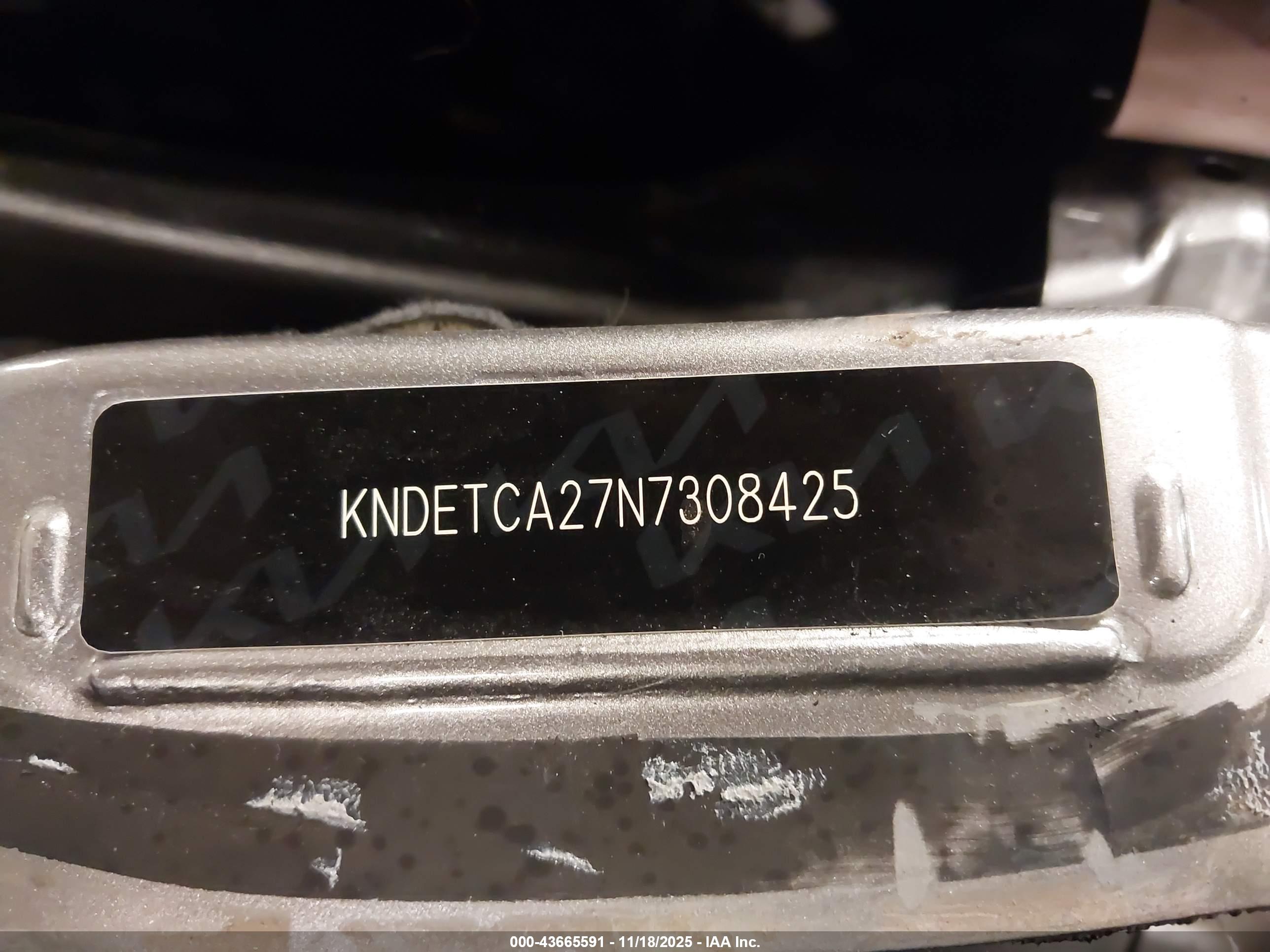 KIA SELTOS image 9