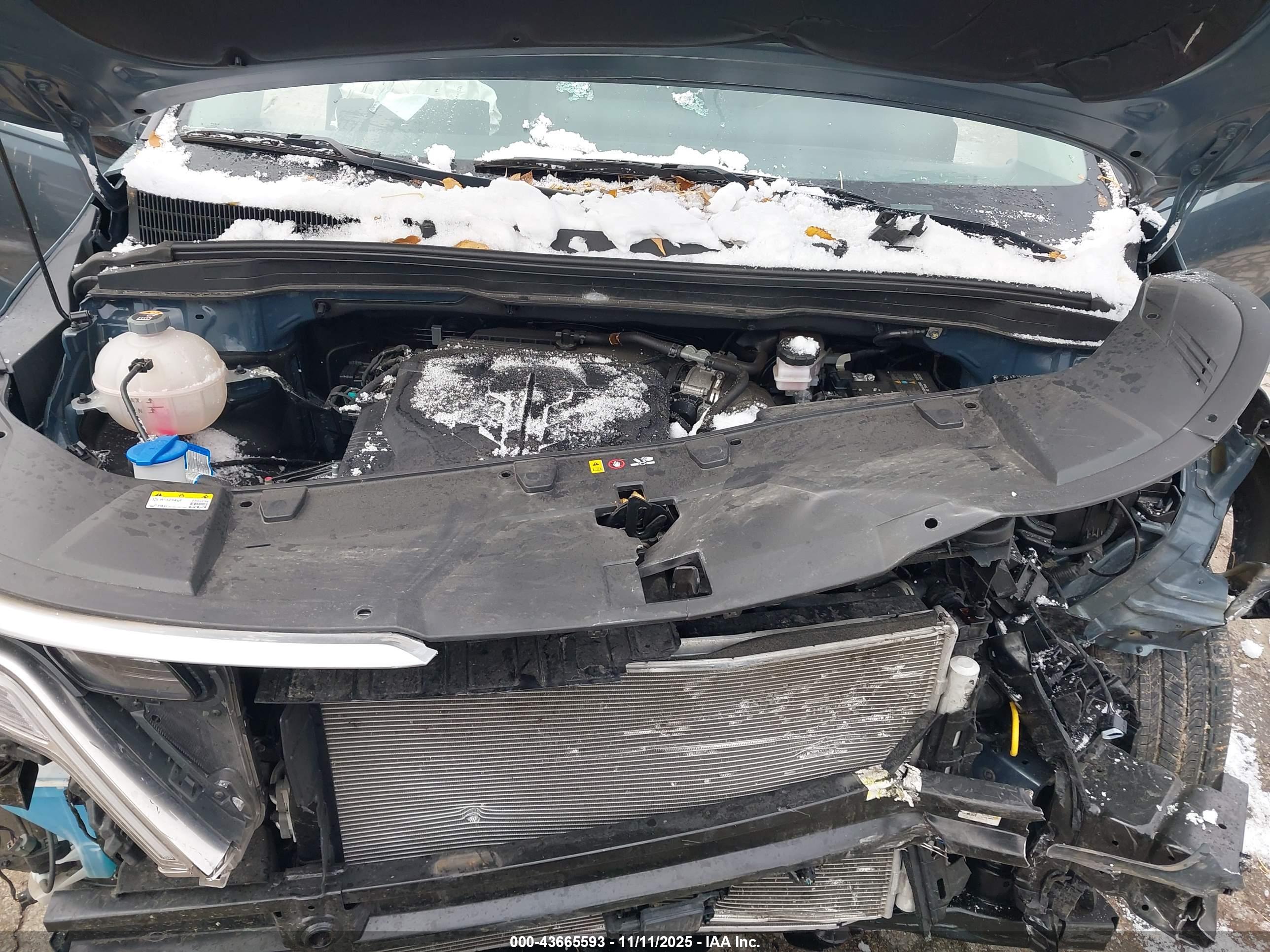 KIA CARNIVAL image 10