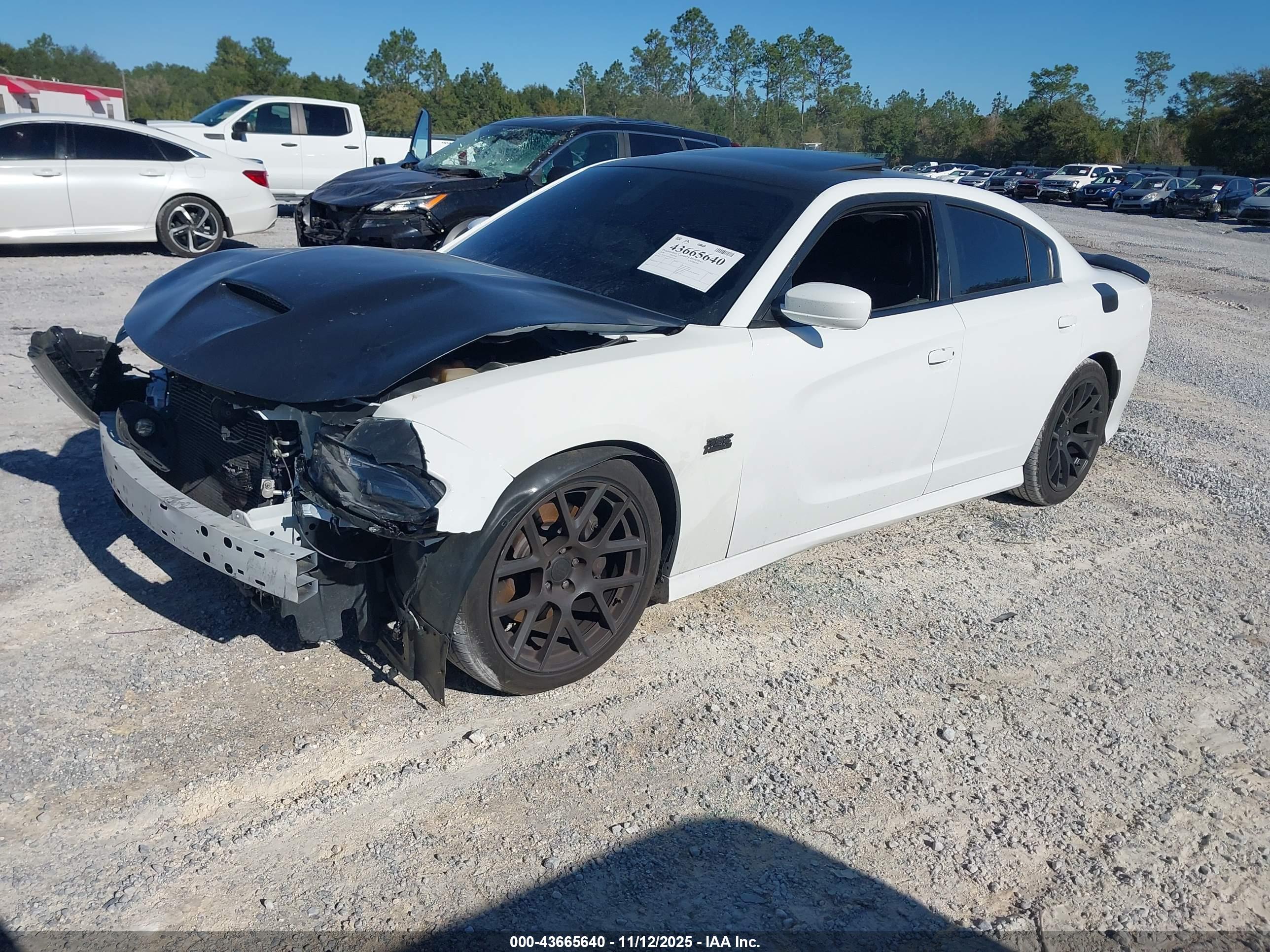 DODGE CHARGER image 2