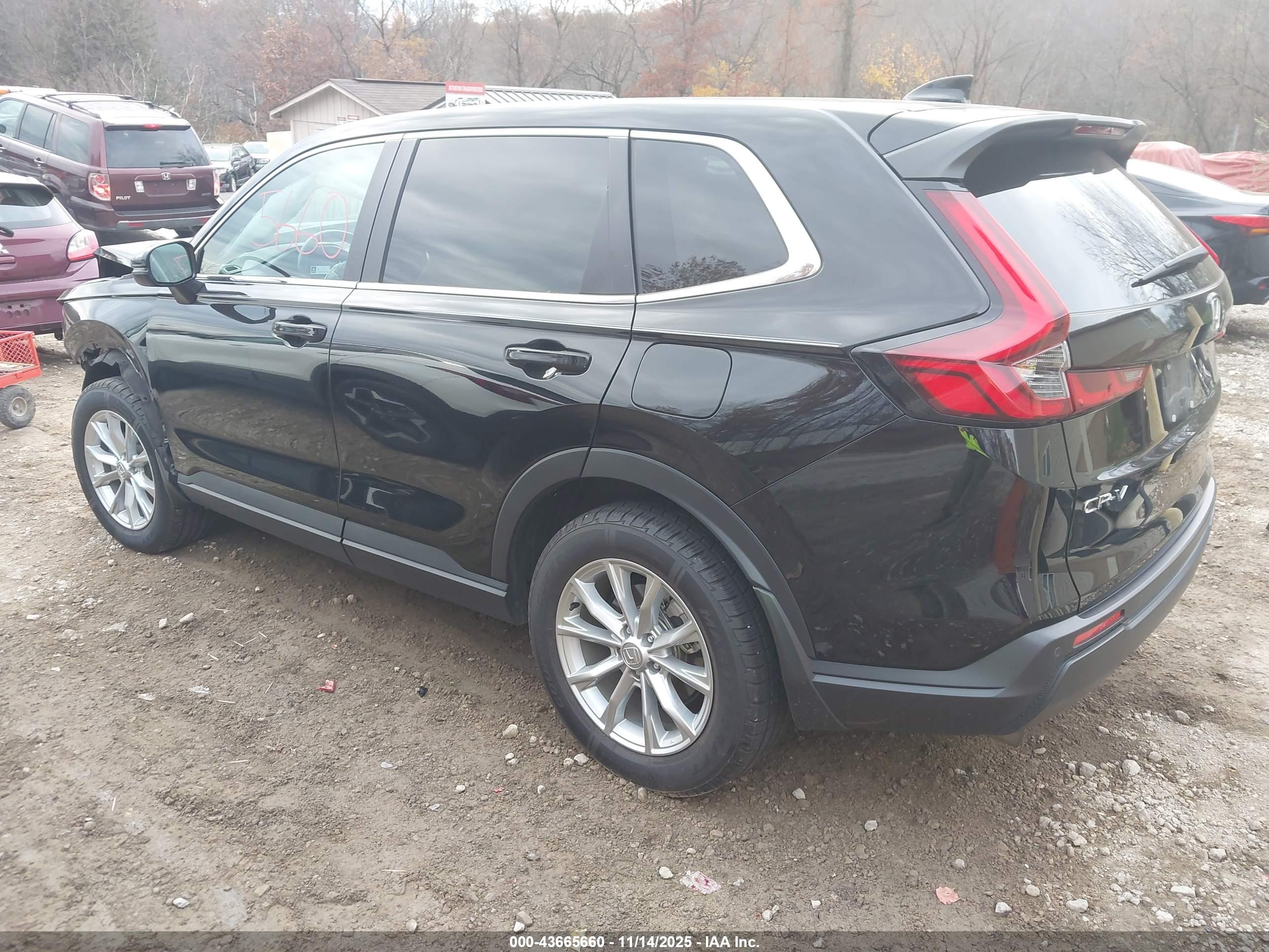 HONDA CR-V image 3