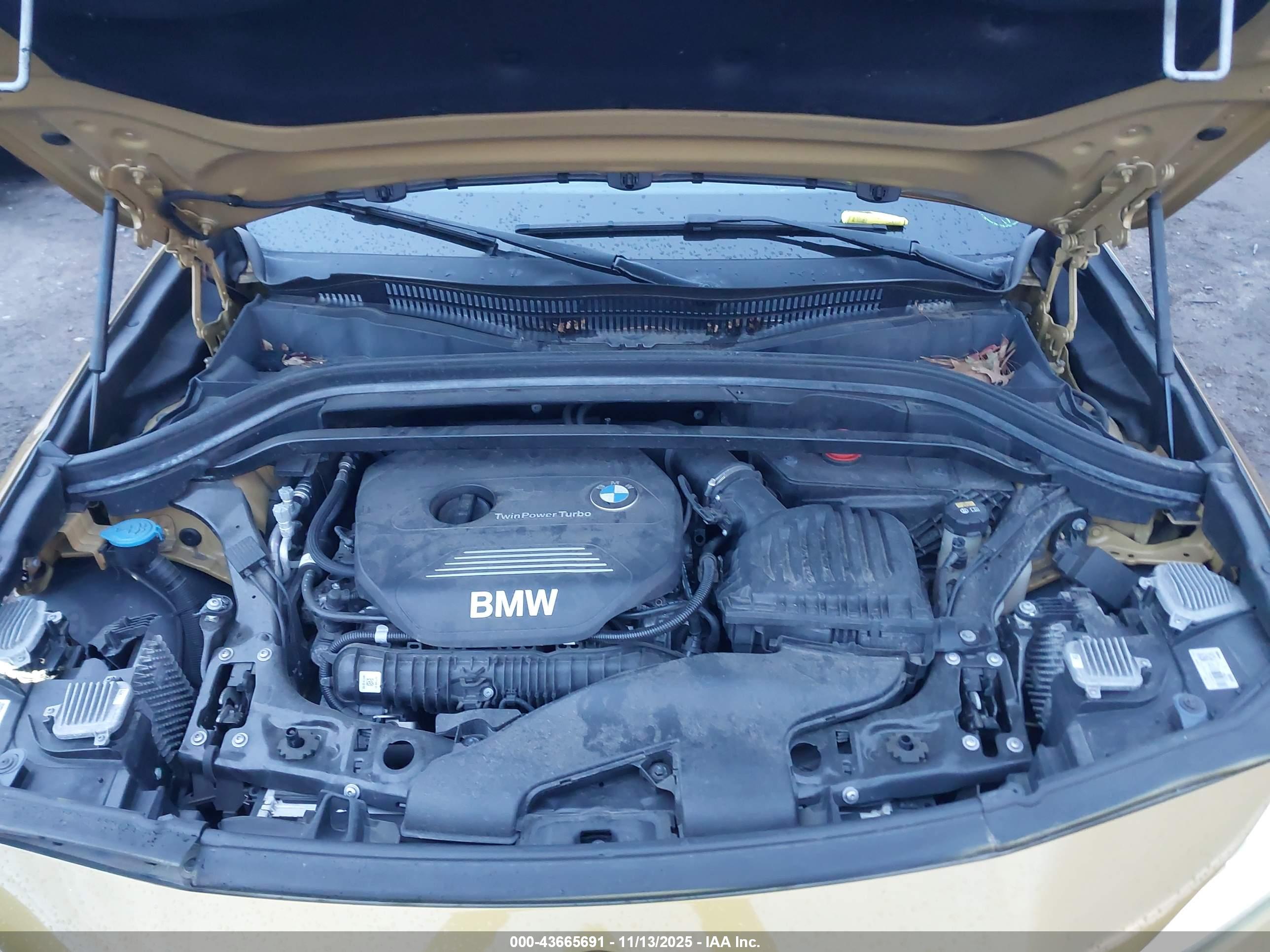 BMW X2 image 10