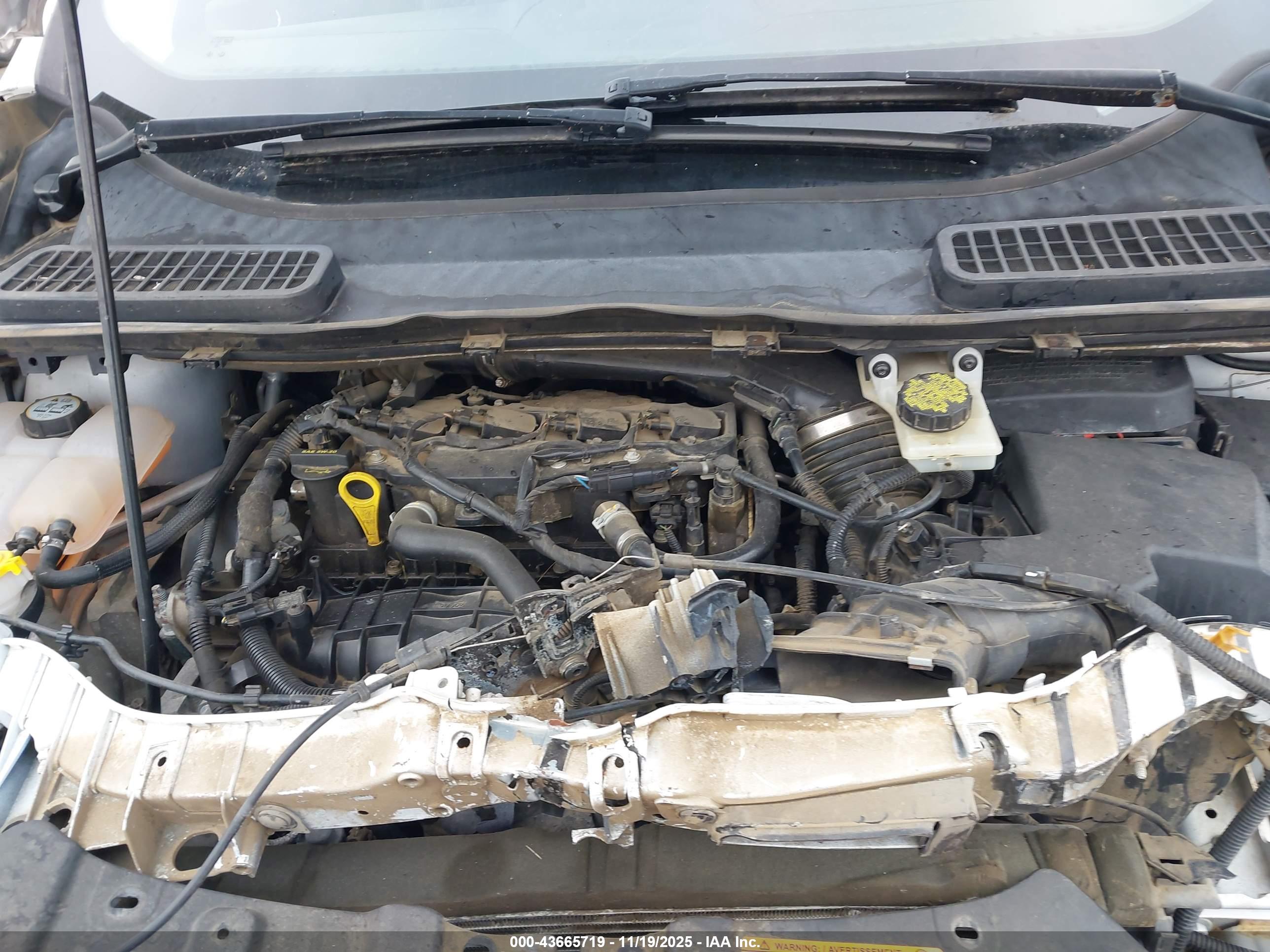 FORD ESCAPE image 10