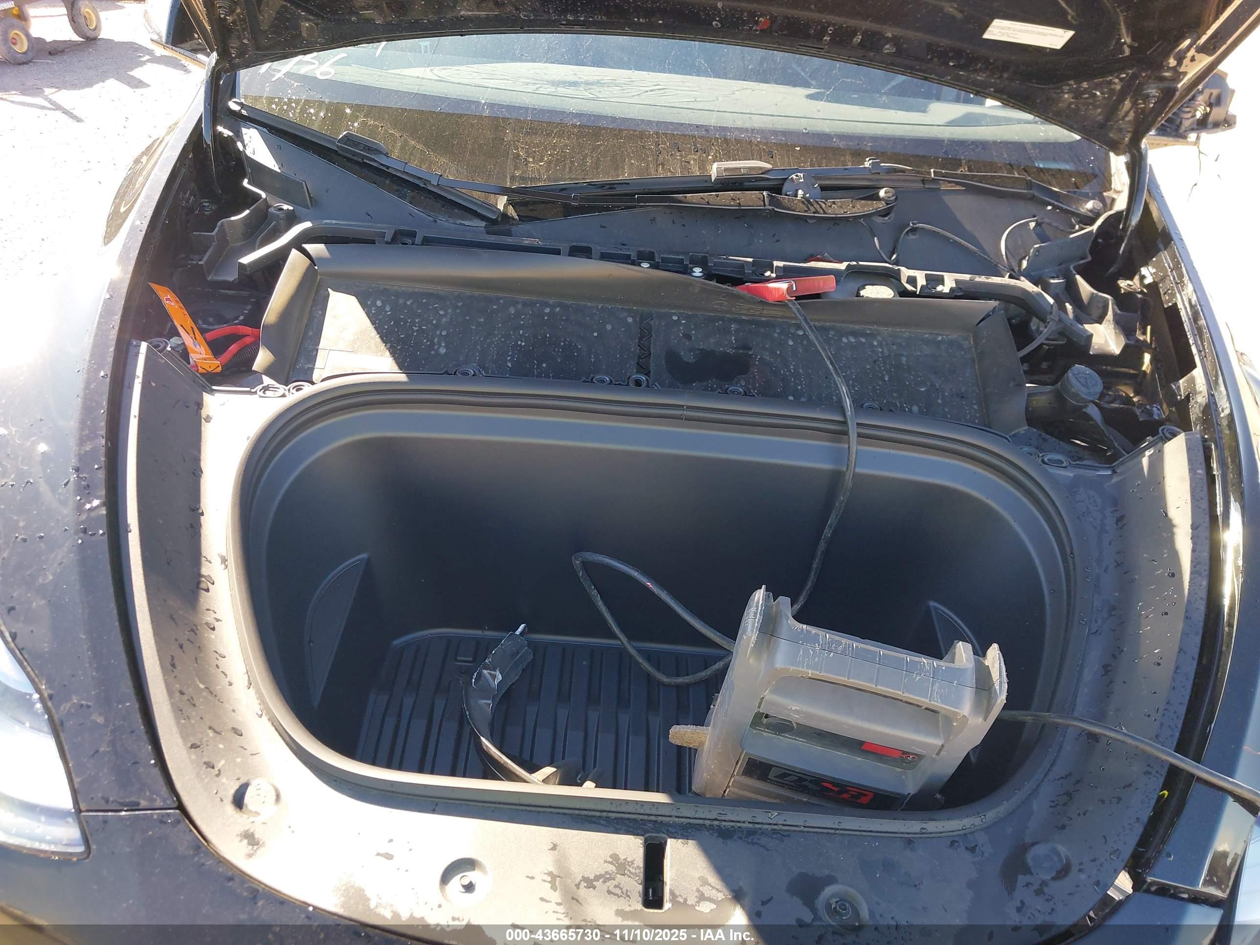 TESLA MODEL image 10