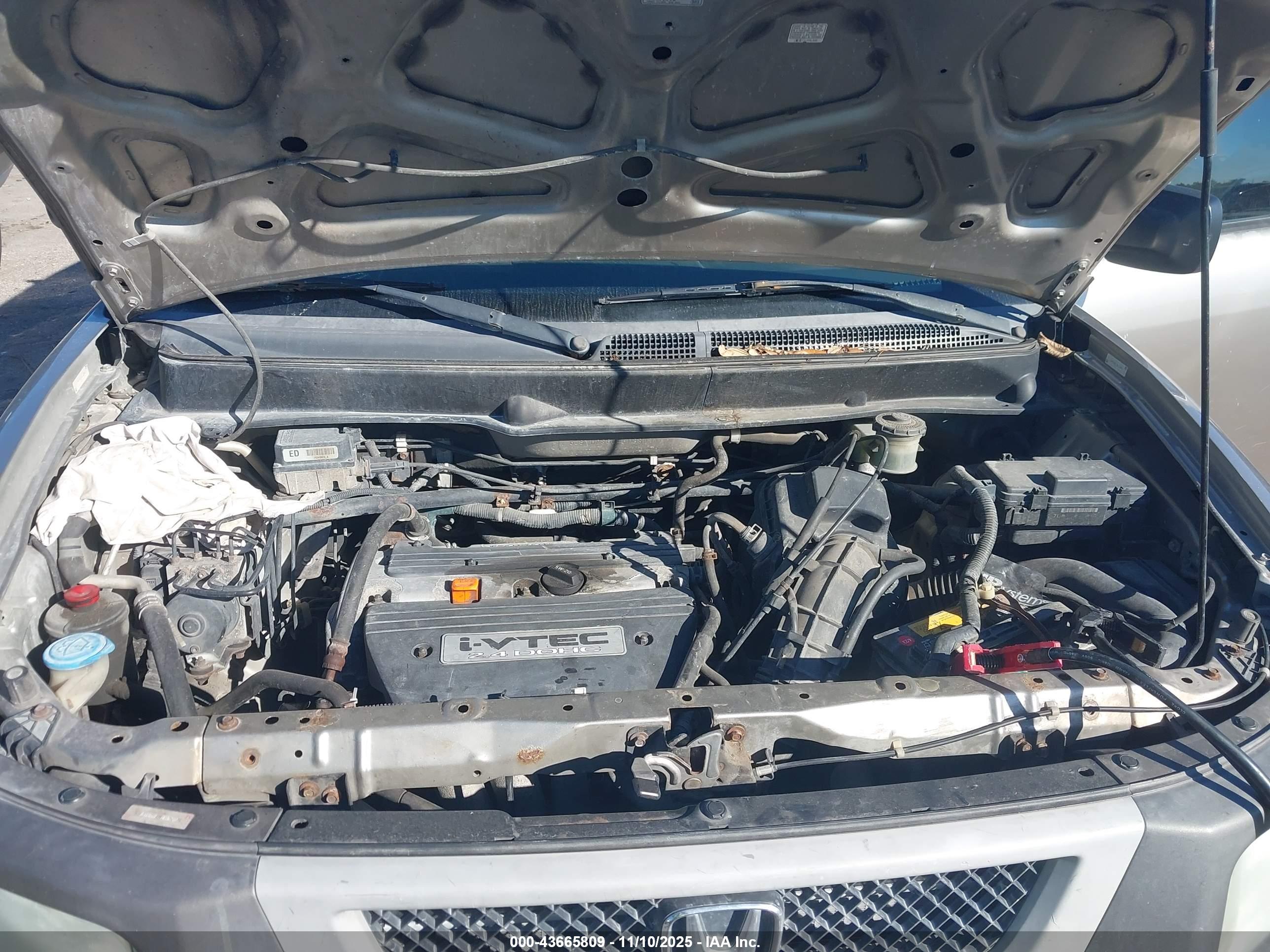 HONDA ELEMENT image 10