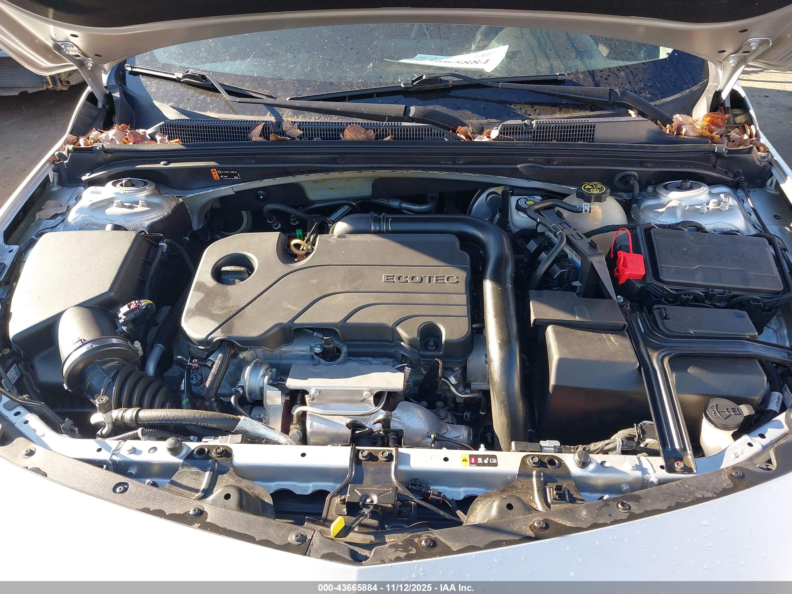 CHEVROLET MALIBU image 10