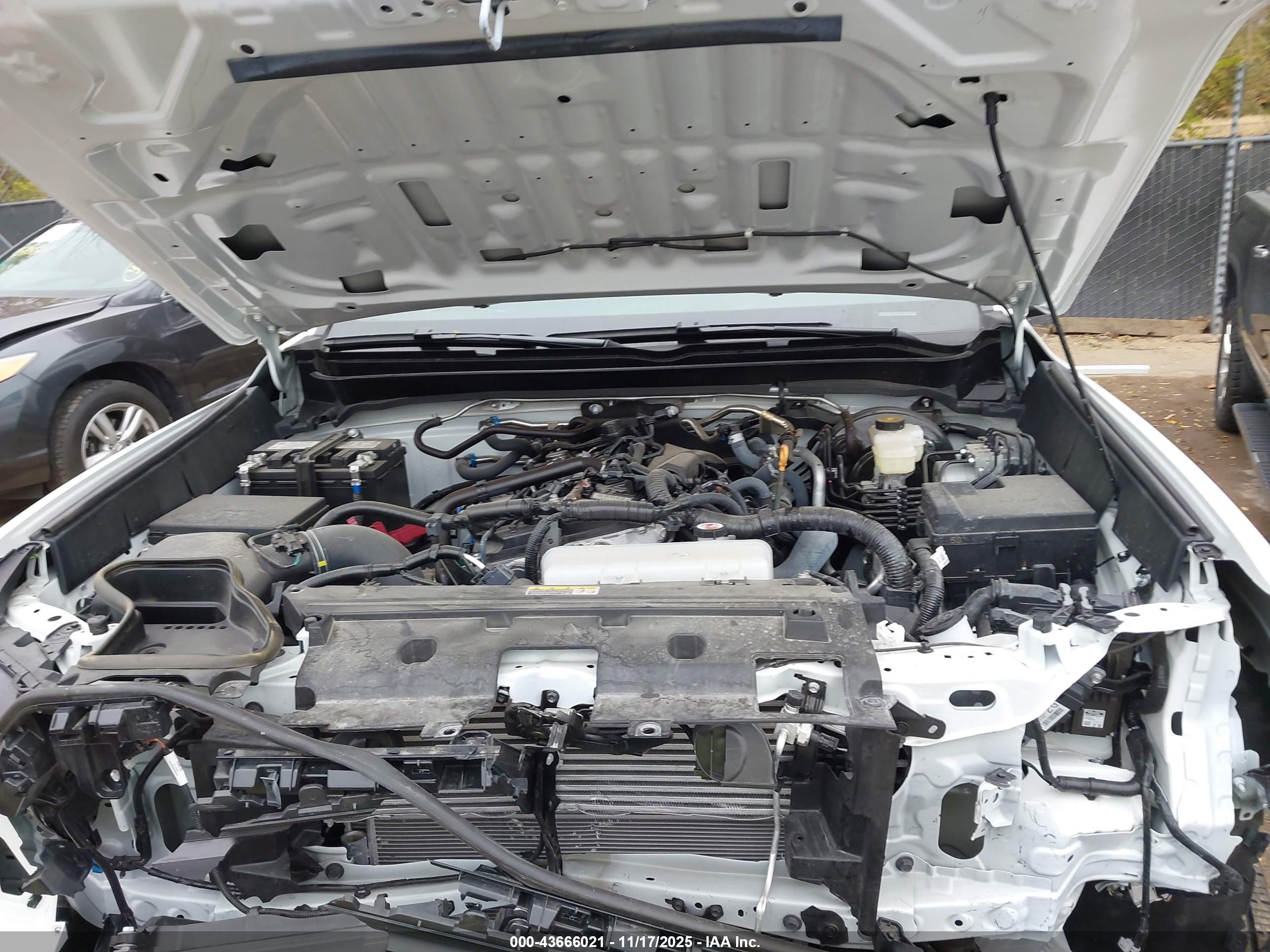 TOYOTA TACOMA image 10
