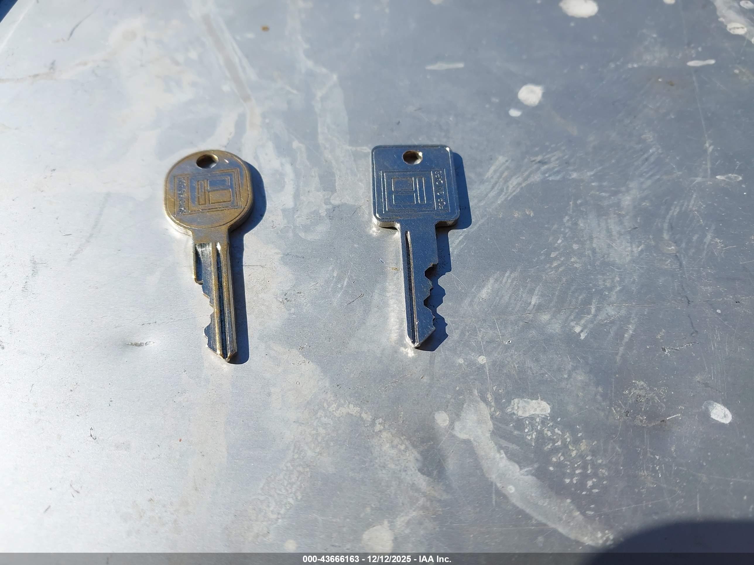 JEEP JEEP image 11