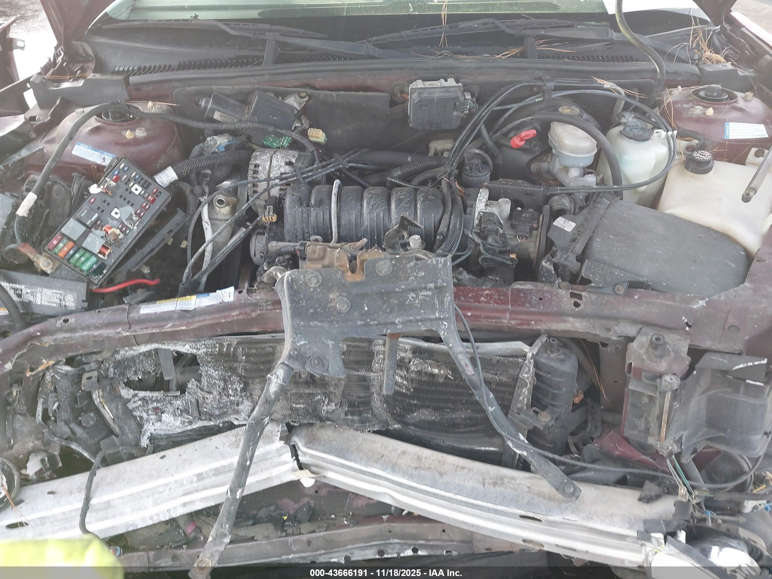 BUICK PARK image 10