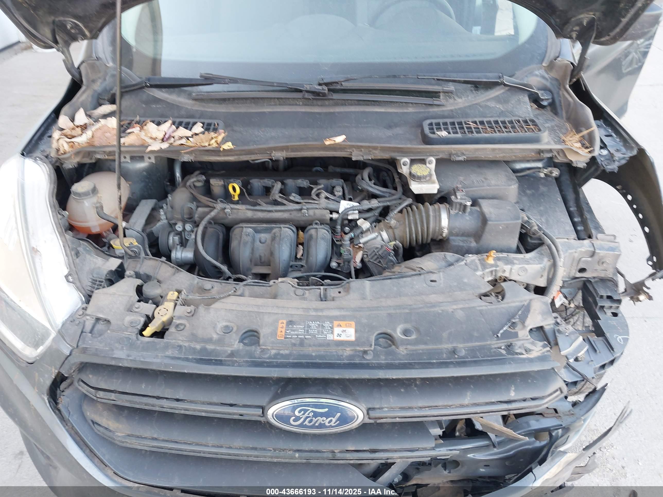FORD ESCAPE image 10