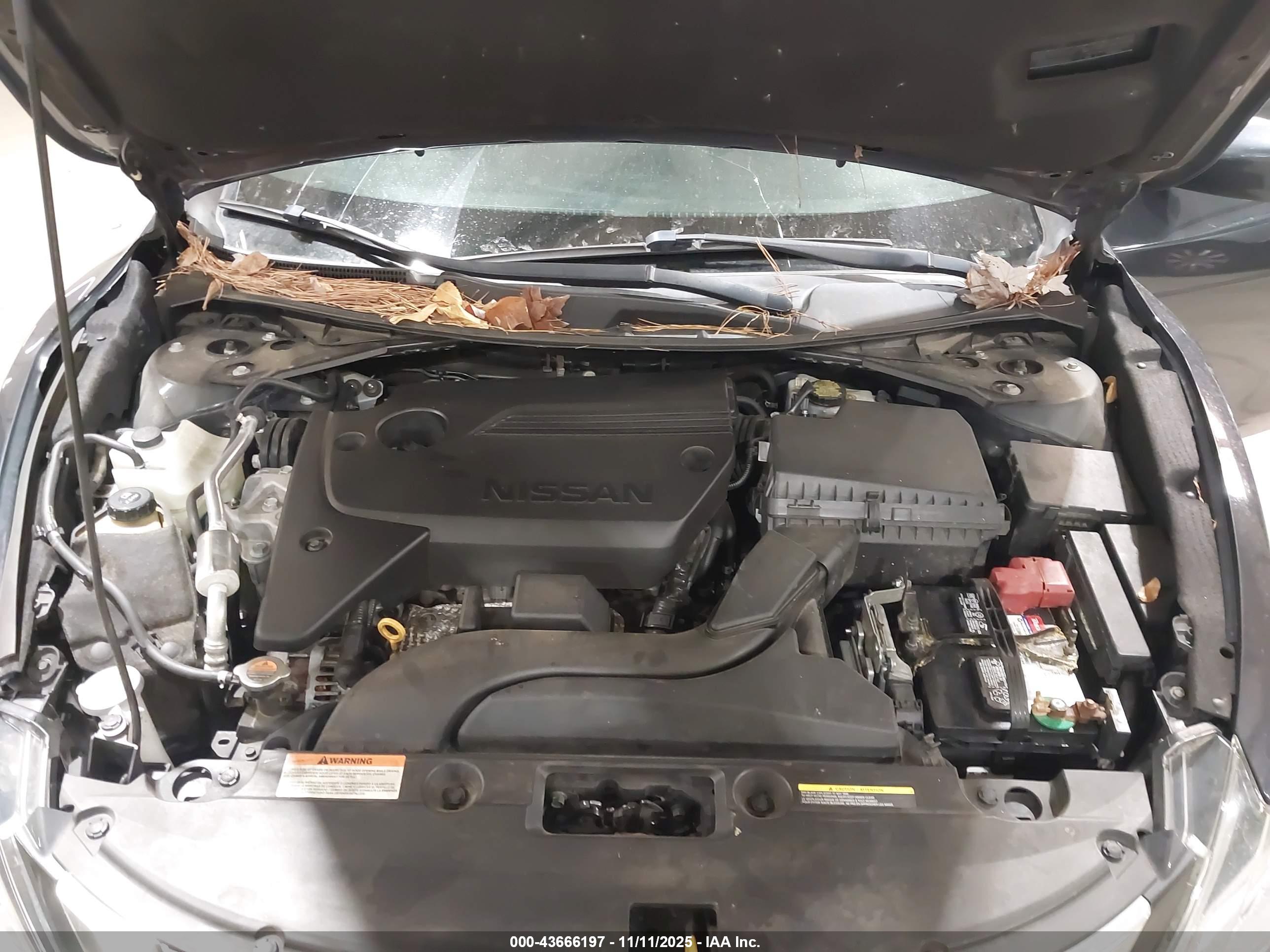 NISSAN ALTIMA image 10