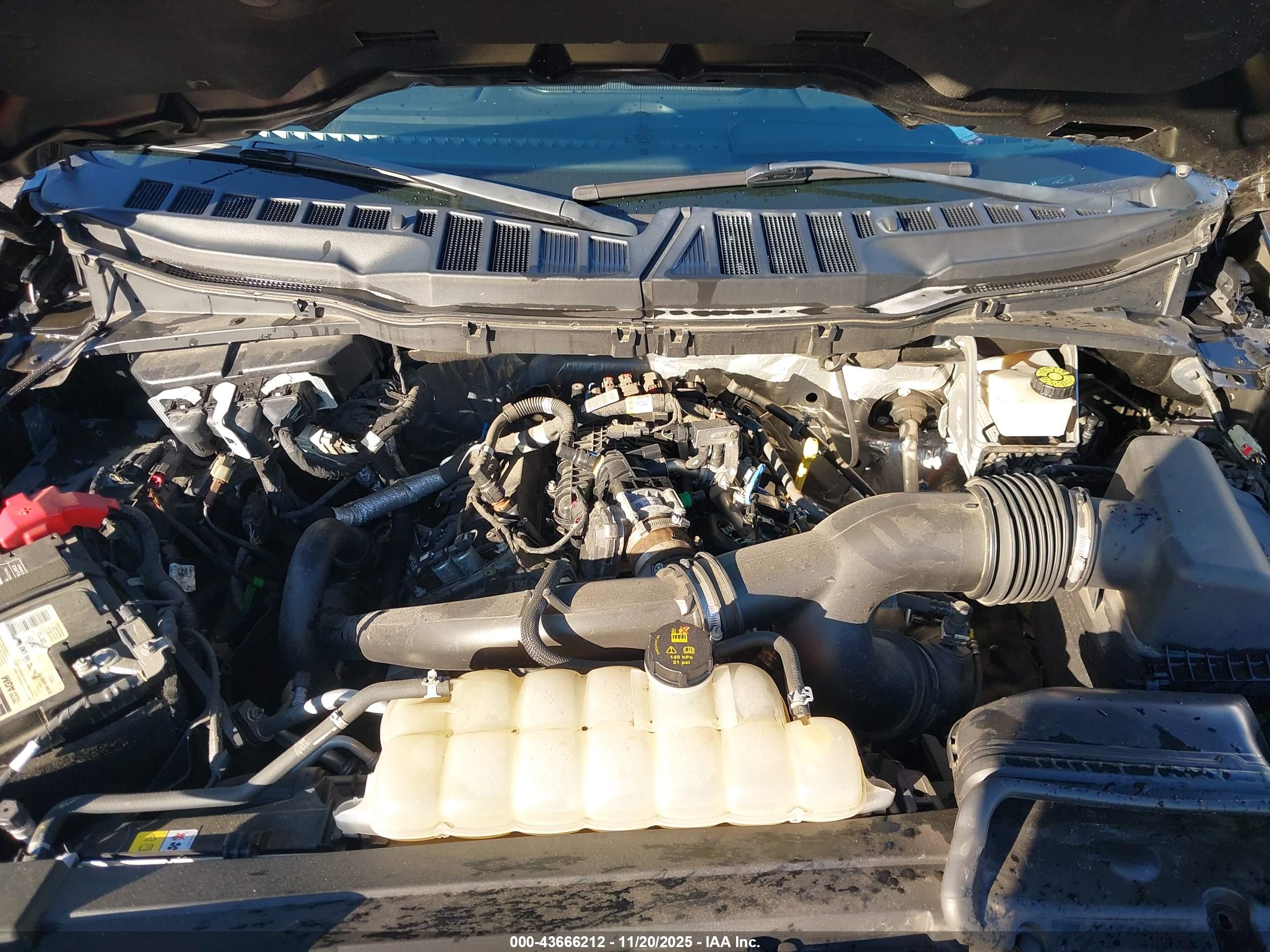 FORD F-150 image 10