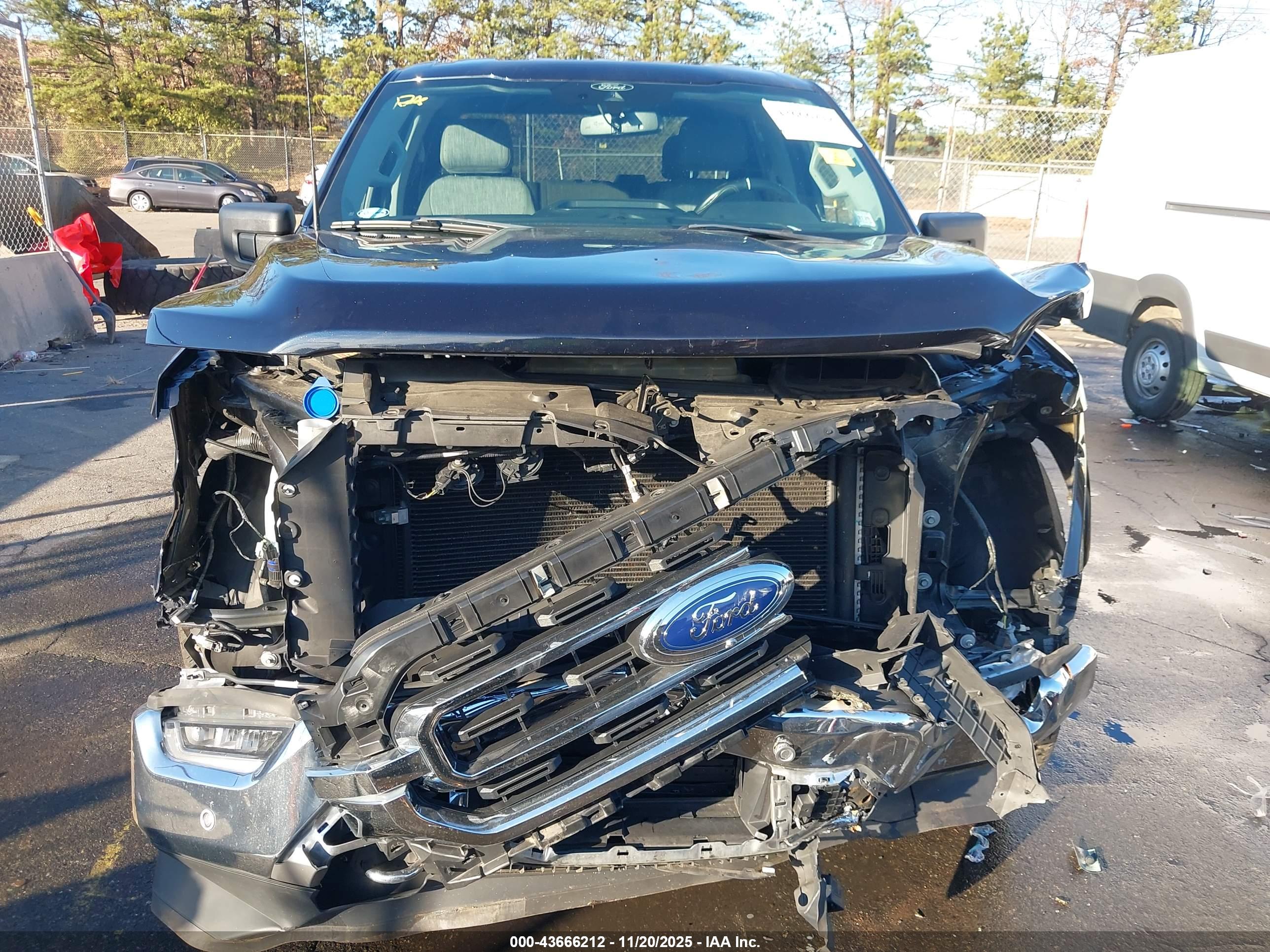 FORD F-150 image 6