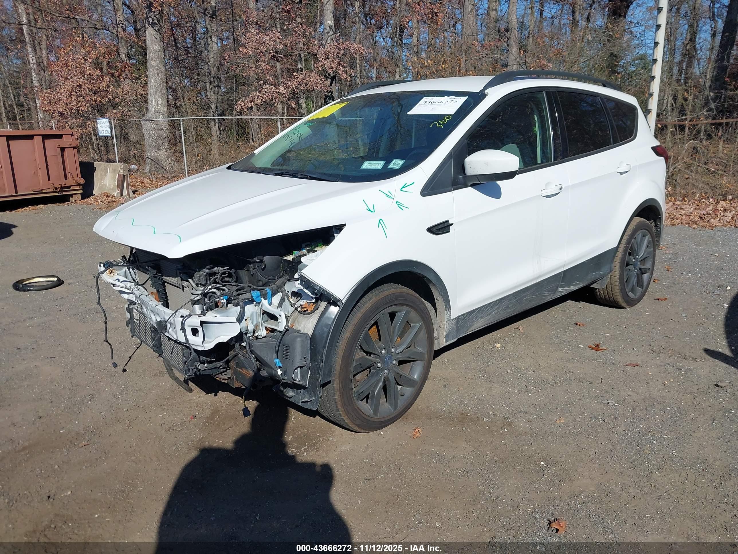 FORD ESCAPE image 2