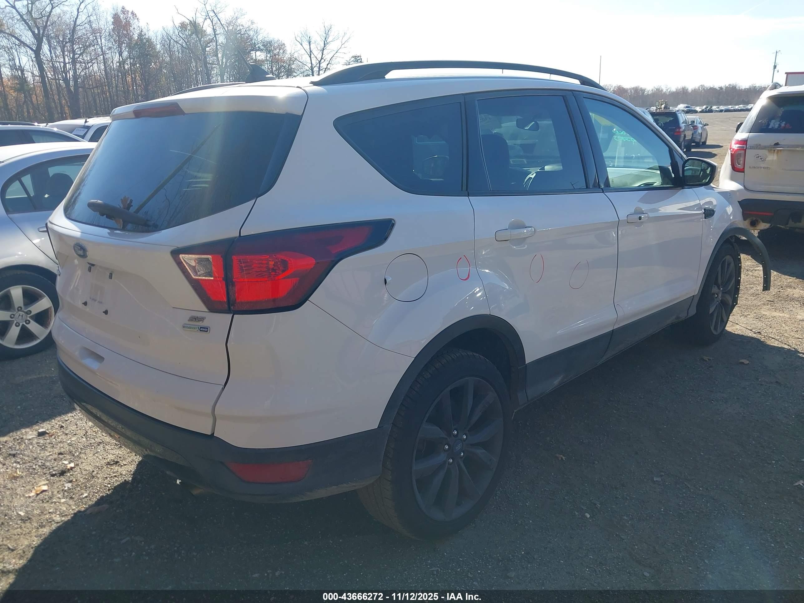 FORD ESCAPE image 4
