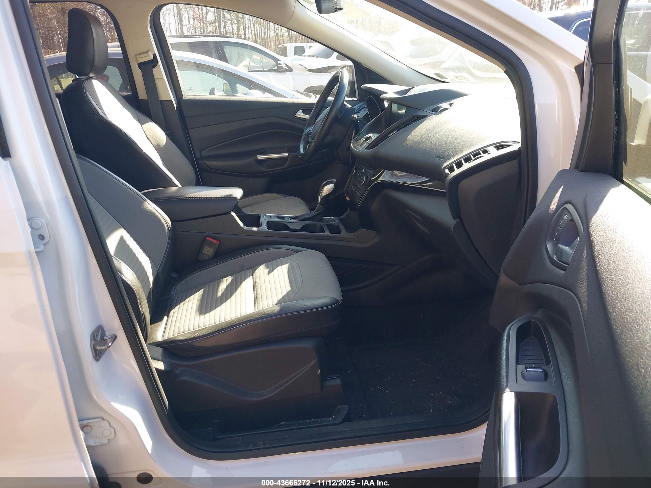 FORD ESCAPE image 5