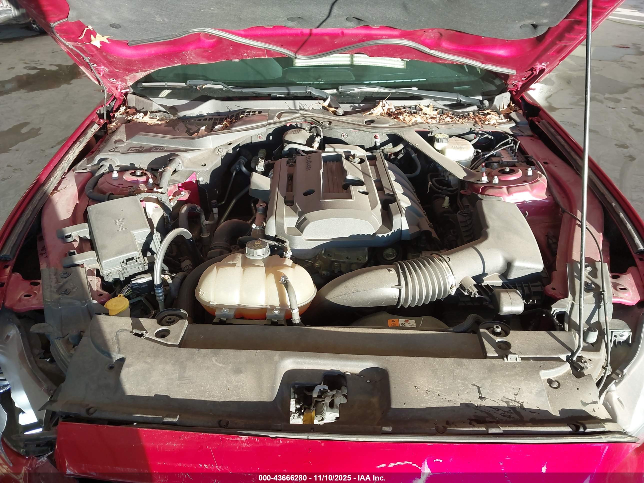 FORD MUSTANG image 10