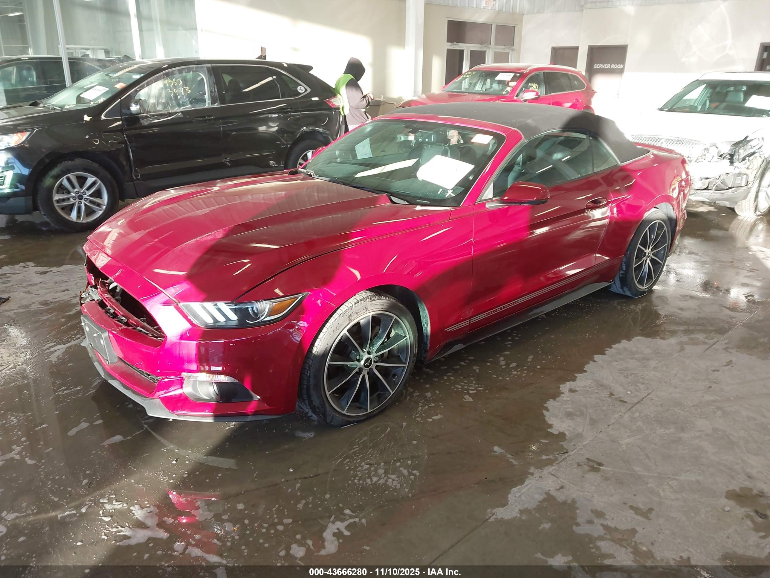 FORD MUSTANG image 2