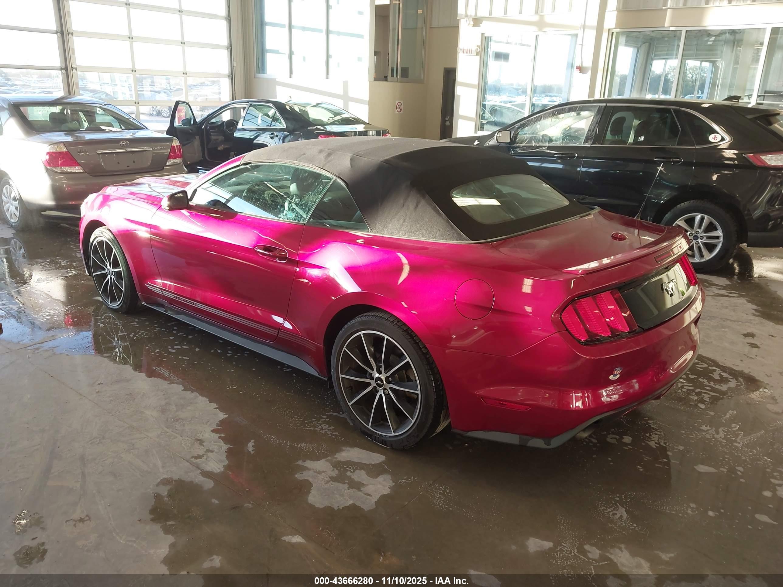 FORD MUSTANG image 3