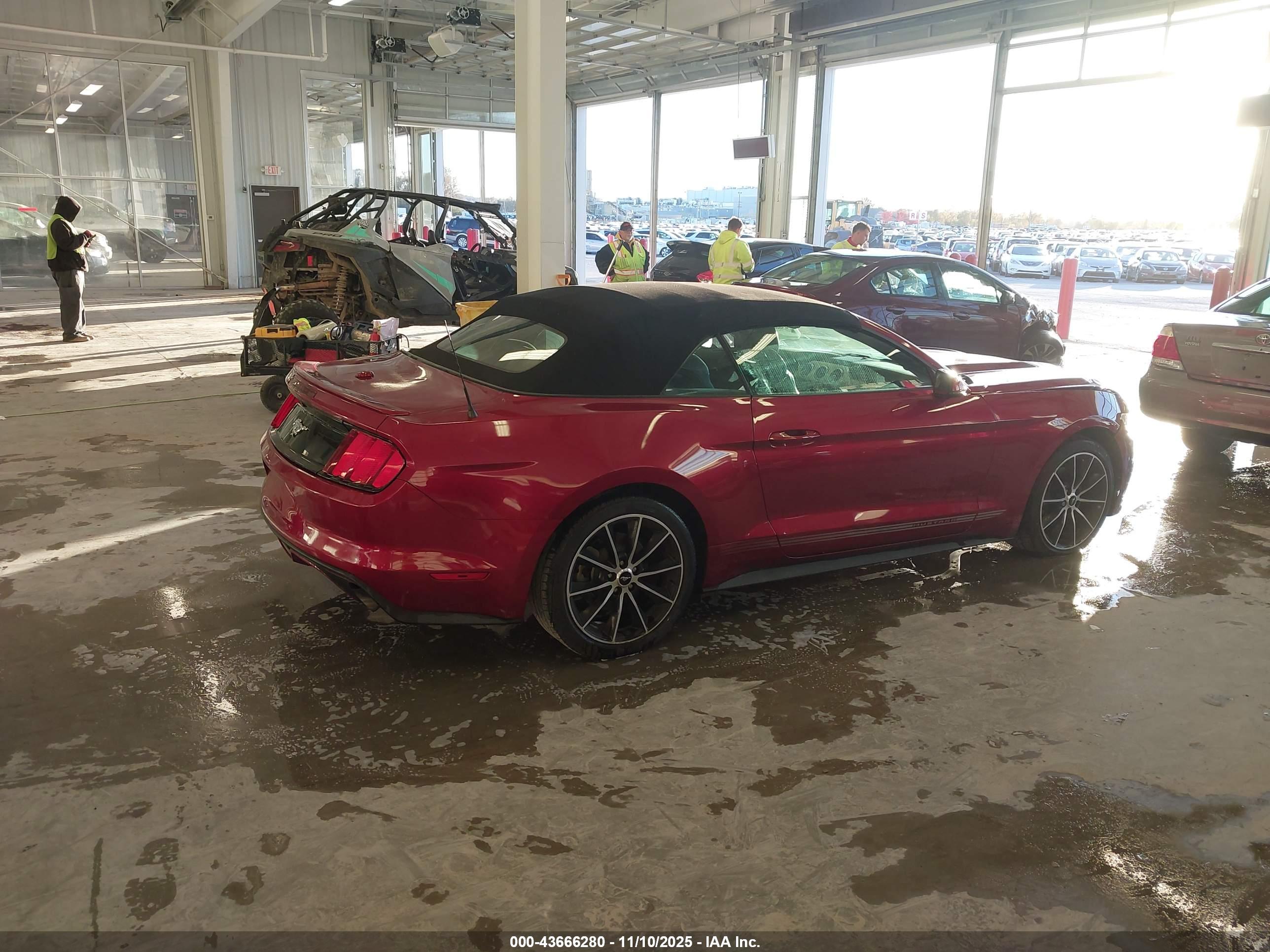 FORD MUSTANG image 4