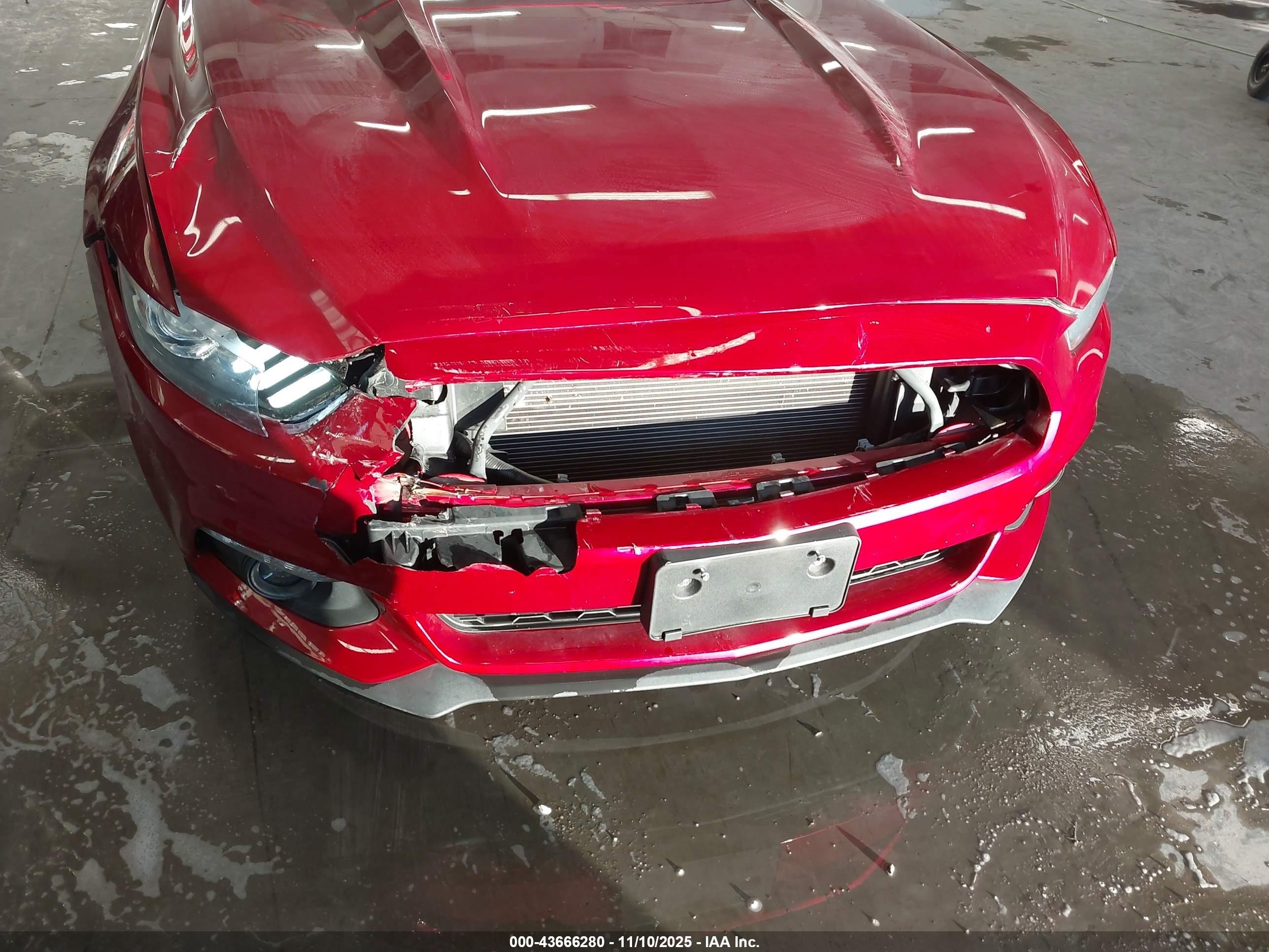 FORD MUSTANG image 6