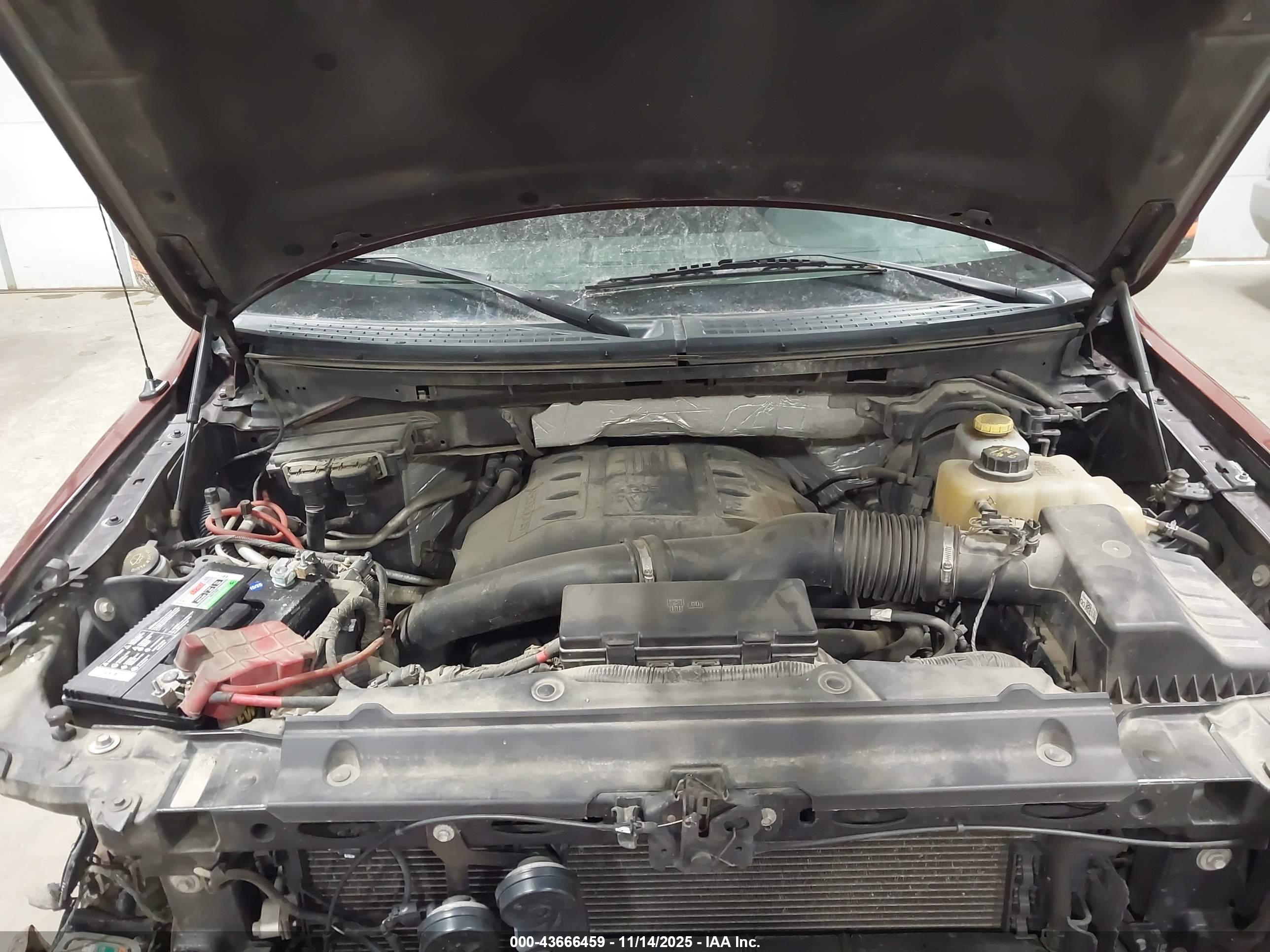 FORD F-150 image 10