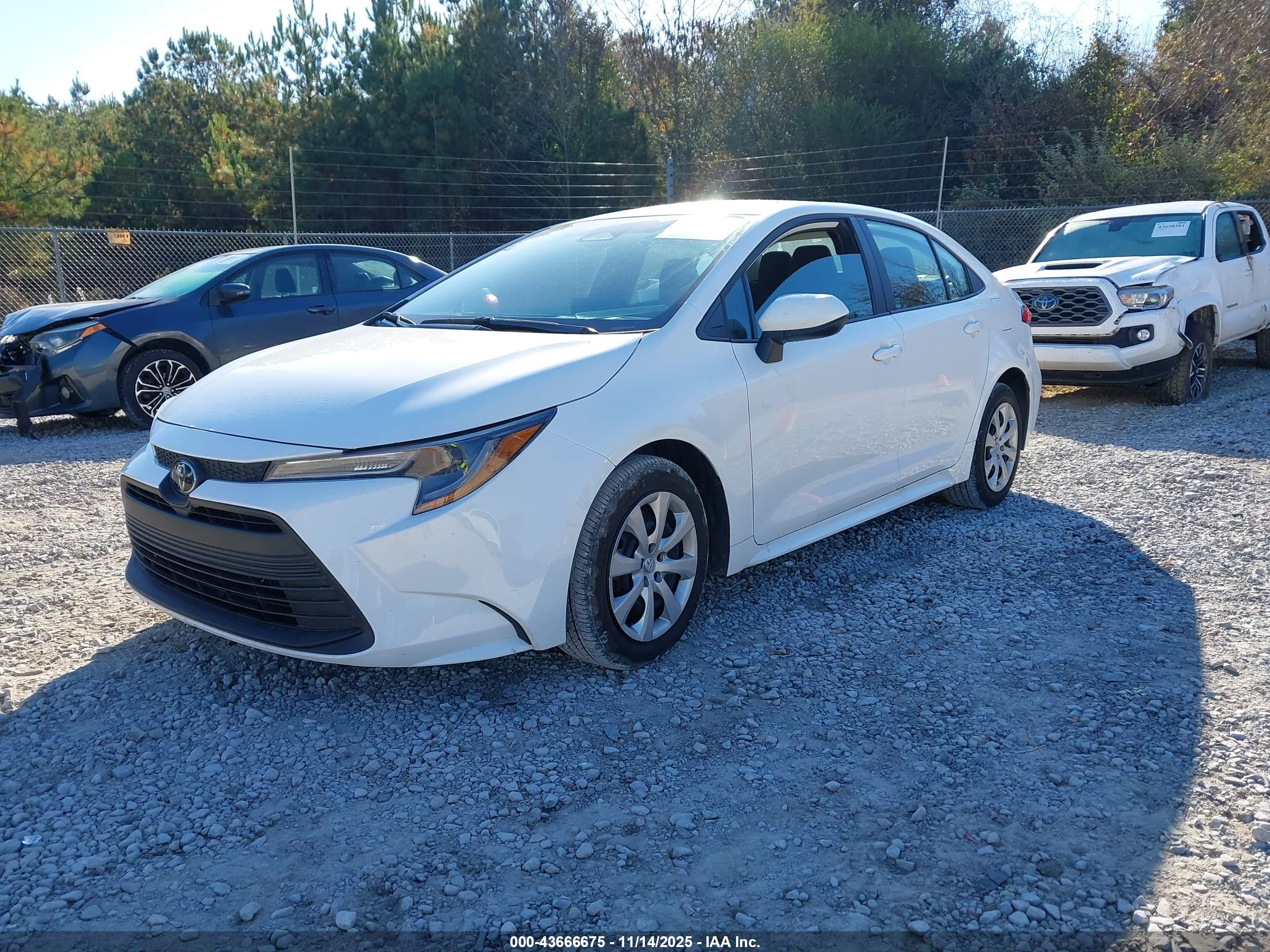 TOYOTA COROLLA image 2