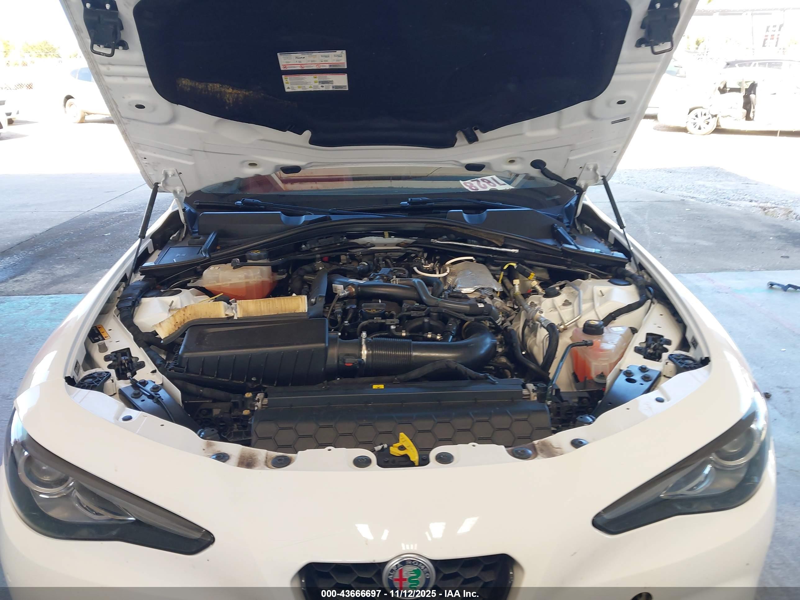 ALFA ROMEO image 10