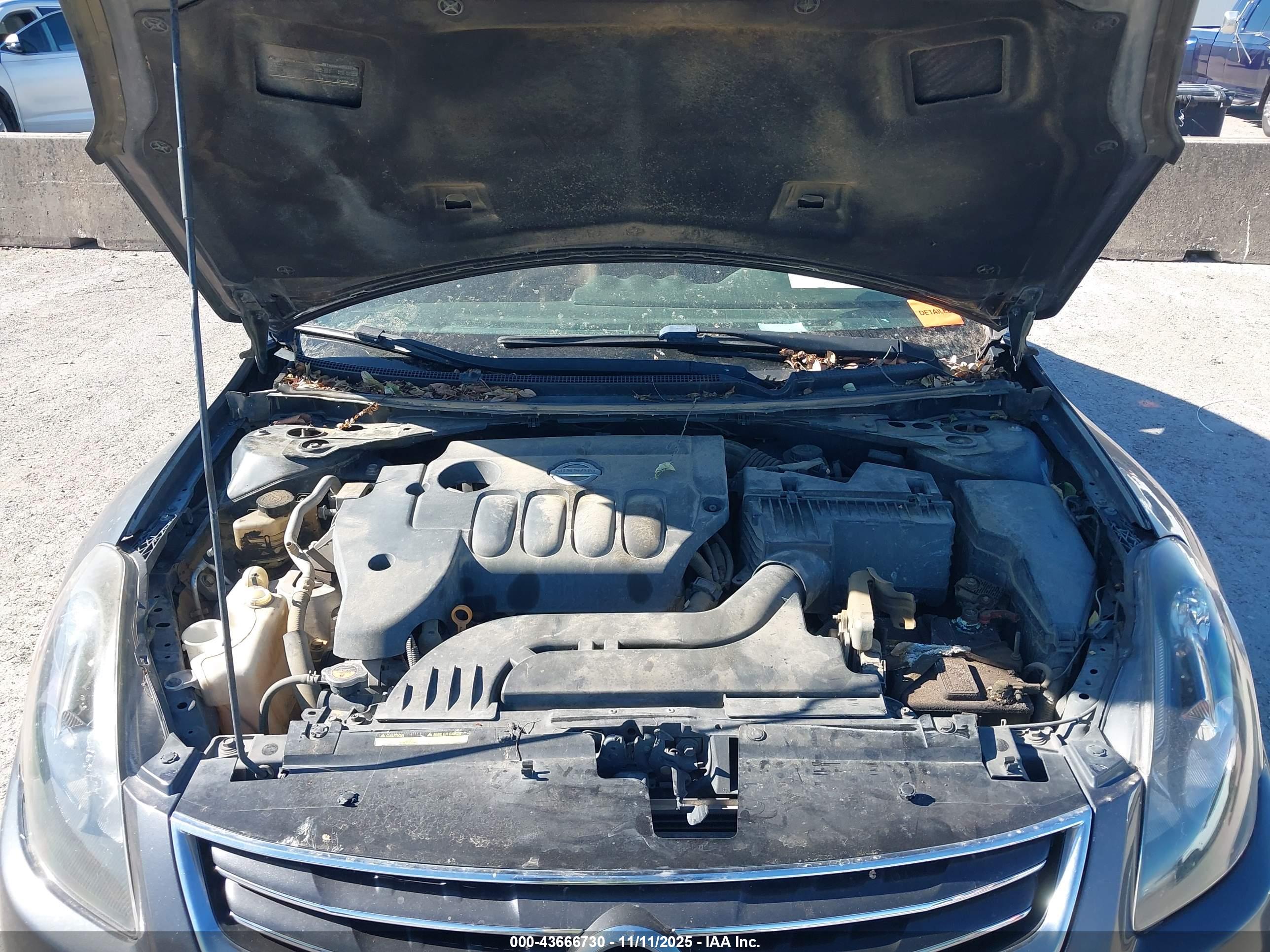 NISSAN ALTIMA image 10