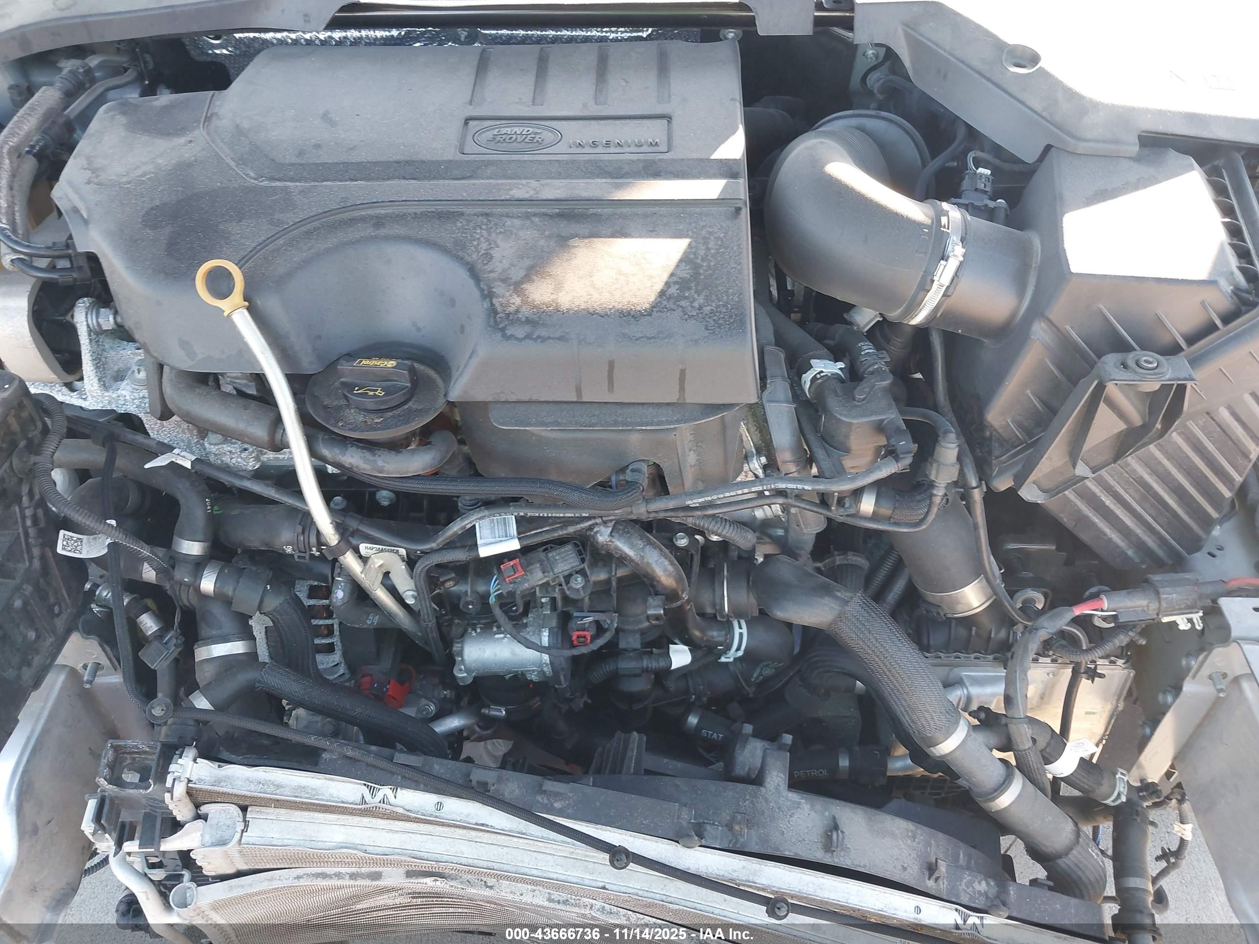 LAND ROVER image 10