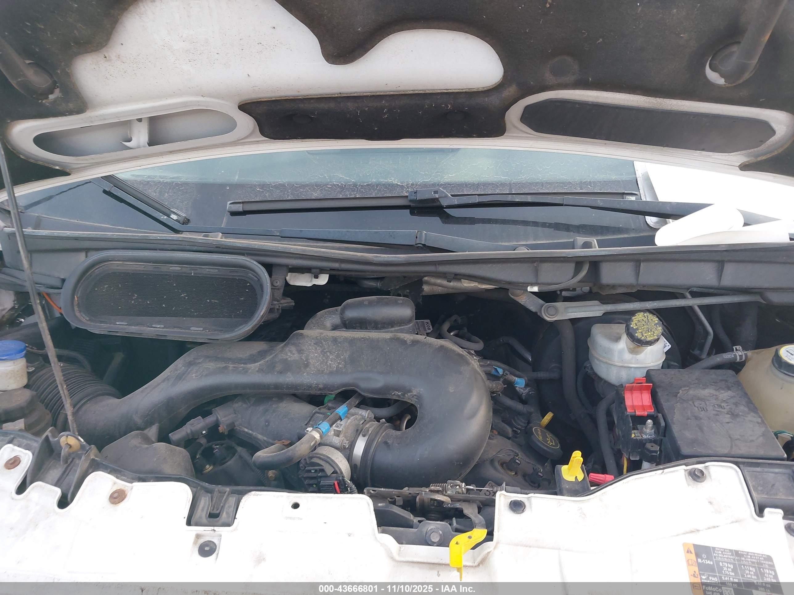 FORD TRANSIT-250 image 10