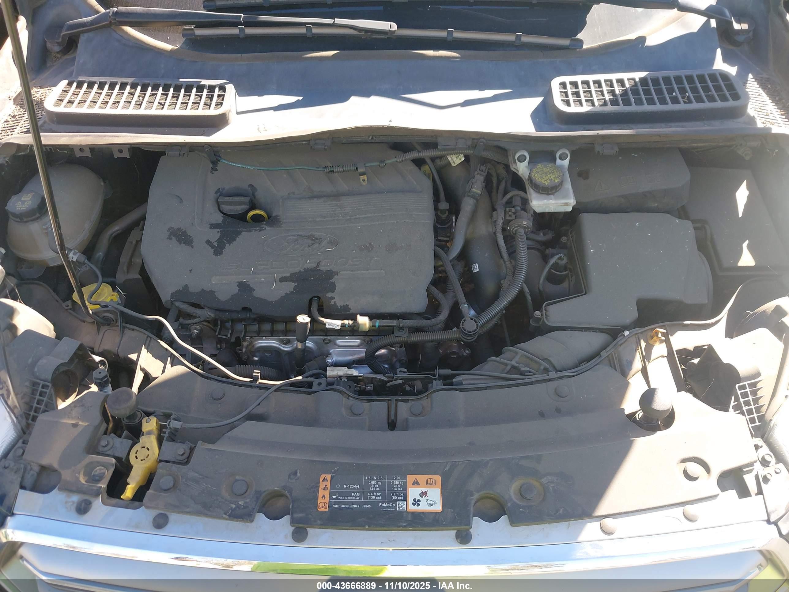 FORD ESCAPE image 10