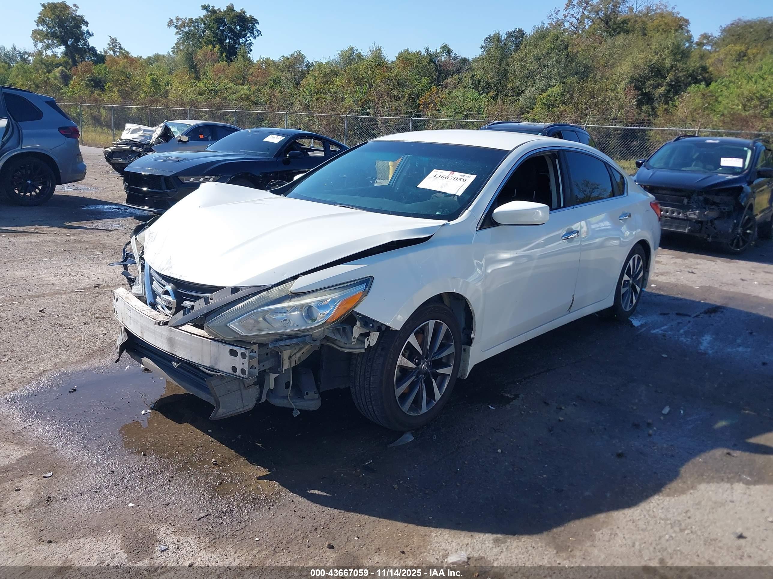 NISSAN ALTIMA image 2