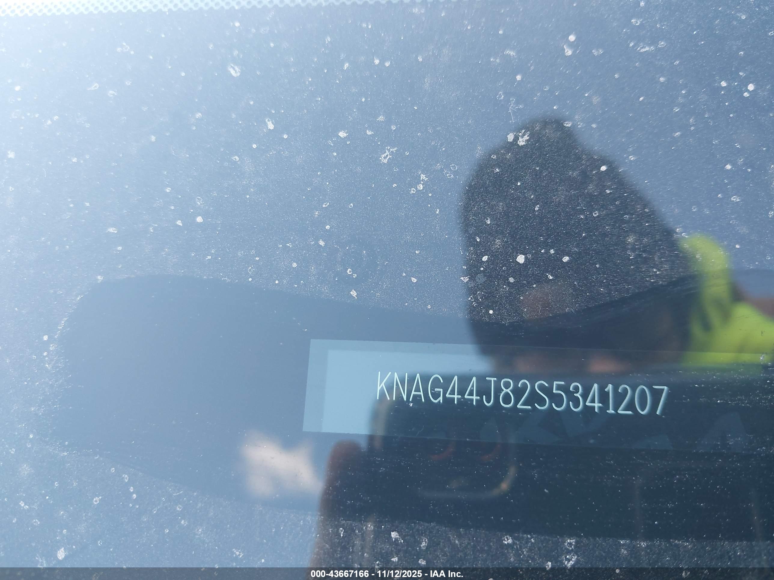 KIA K5 image 9