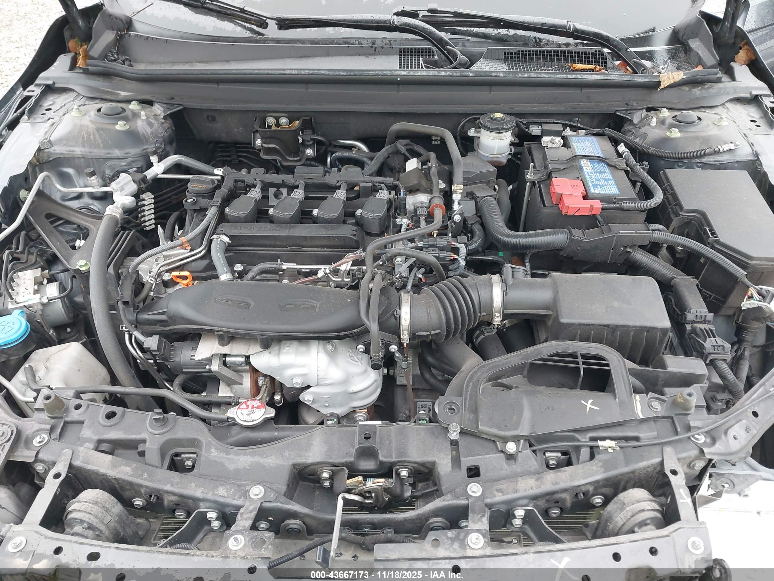 HONDA ACCORD image 10